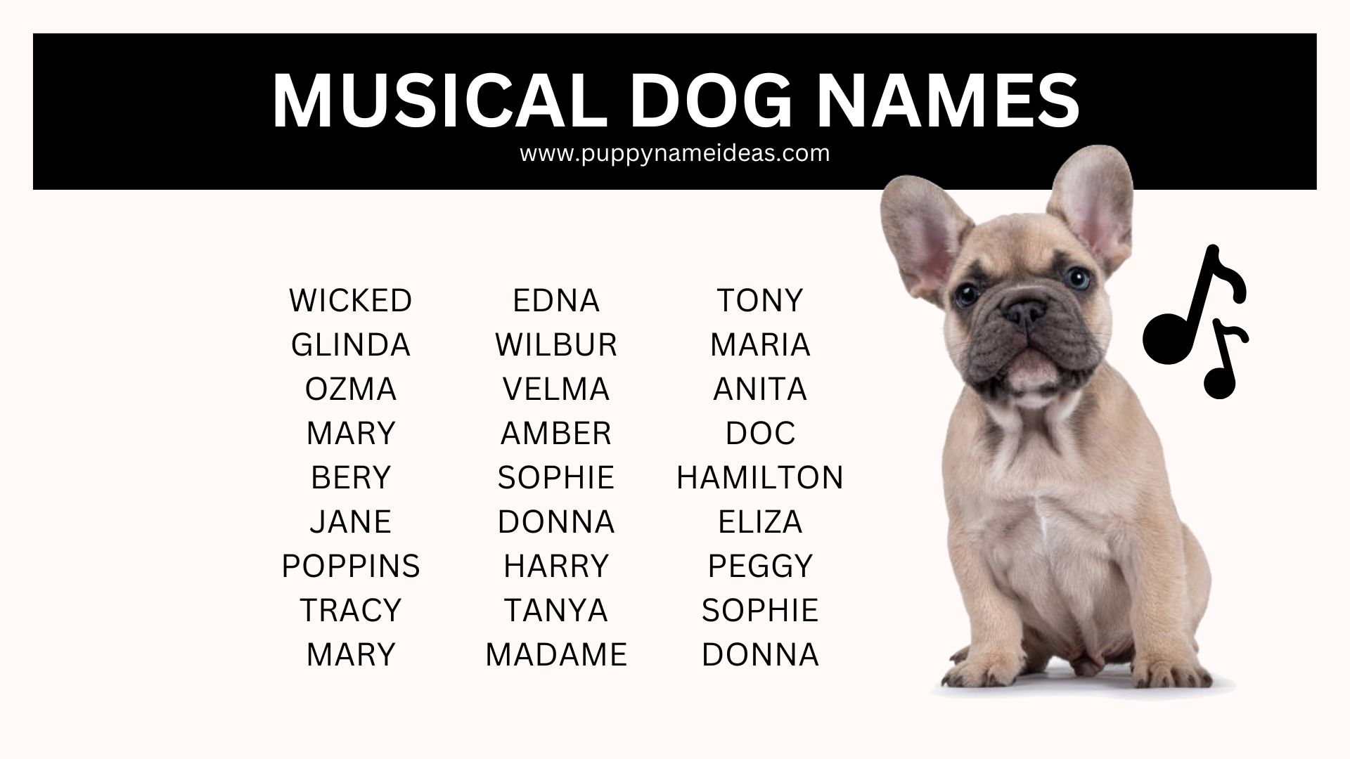 list of musical dog names
