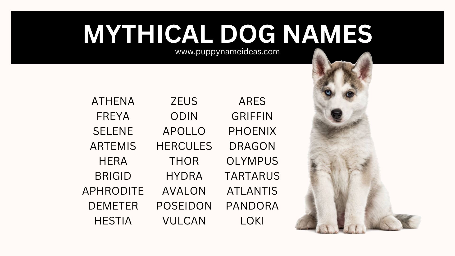 210+ Mythical Dog Names
