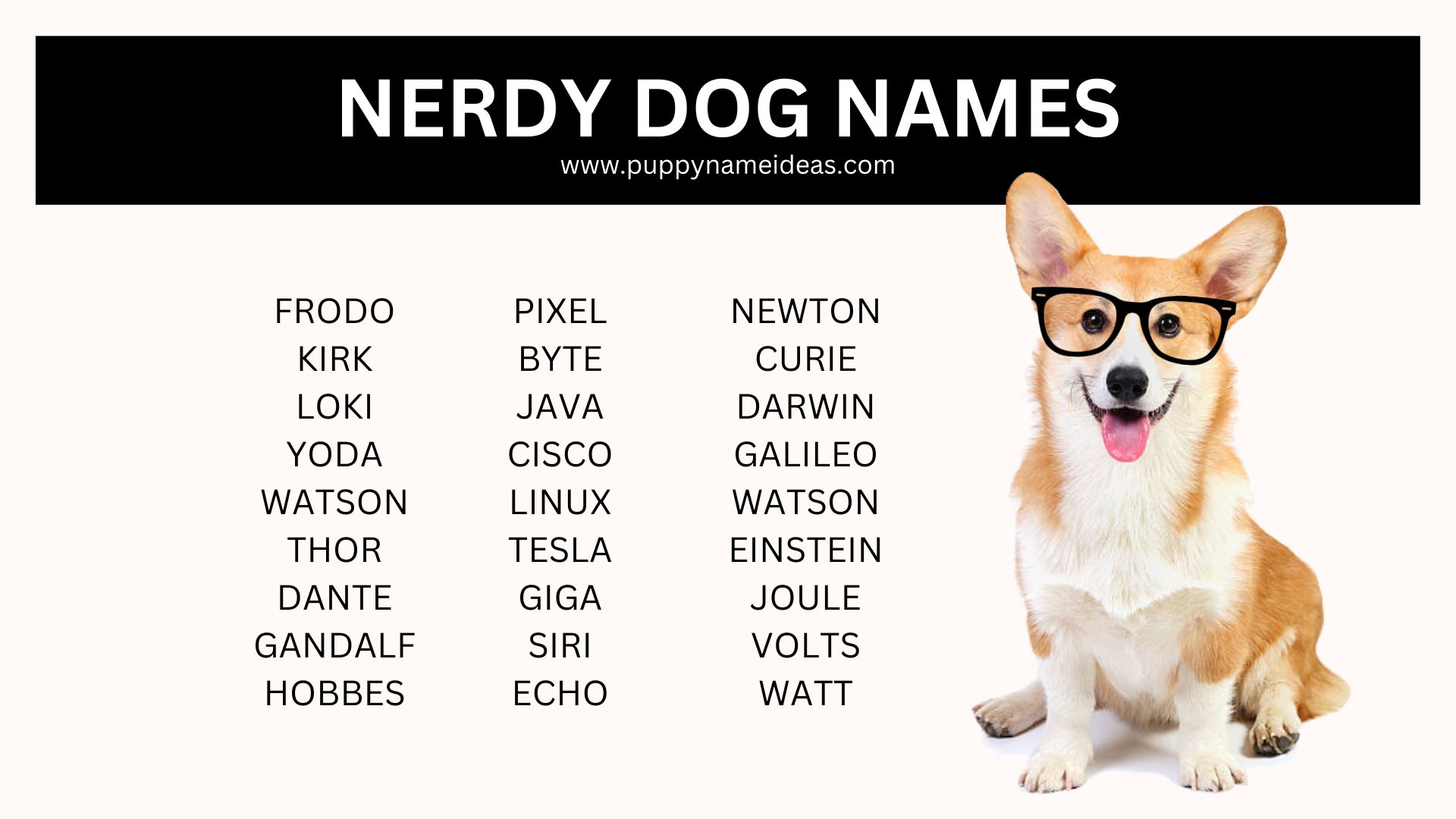 list of nerdy dog names