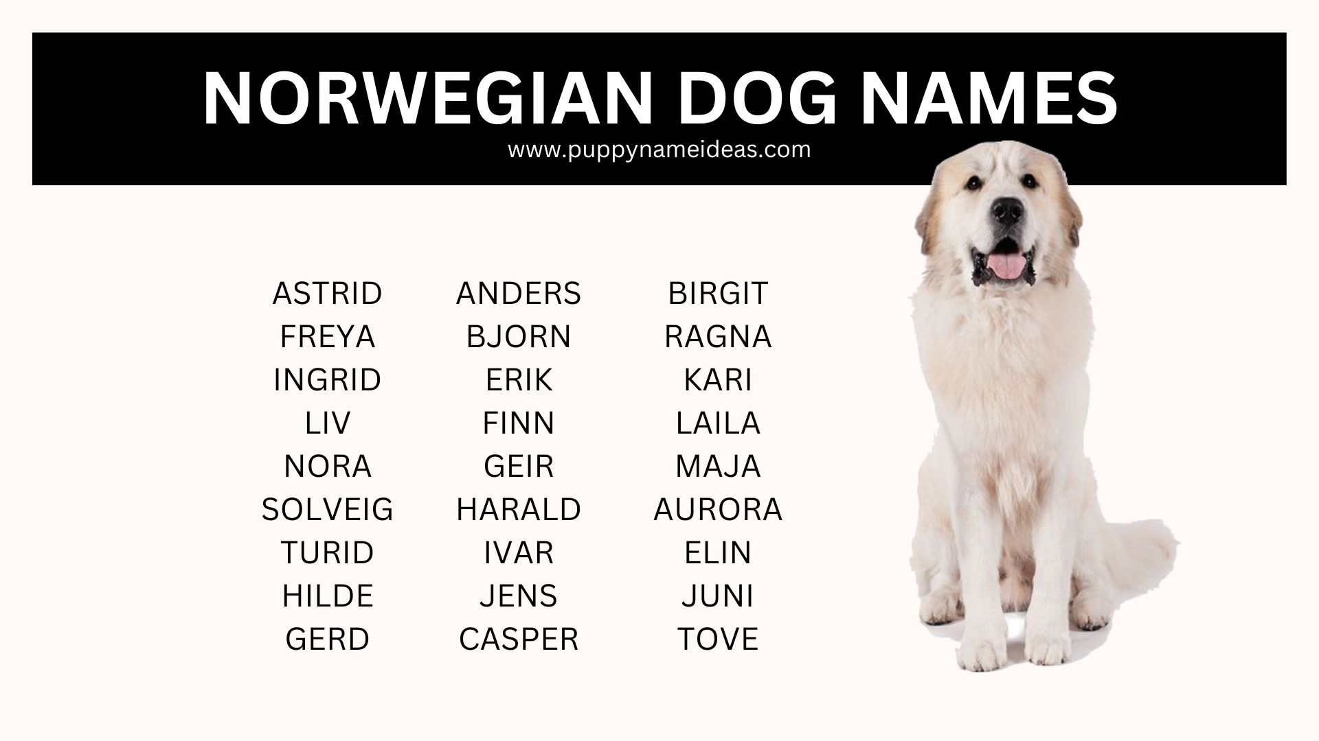 list of norwegian dog names