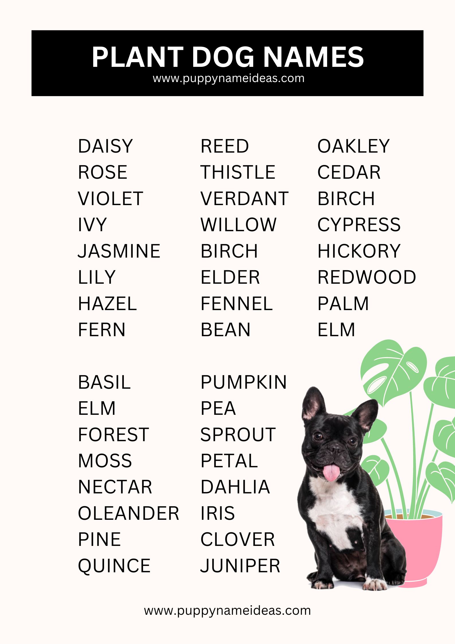 list of plant dog names