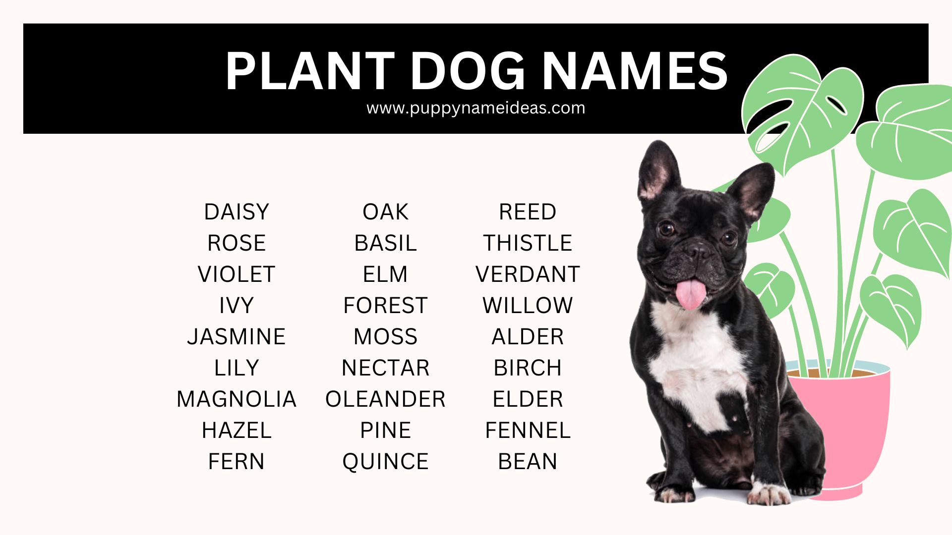list of plant dog names