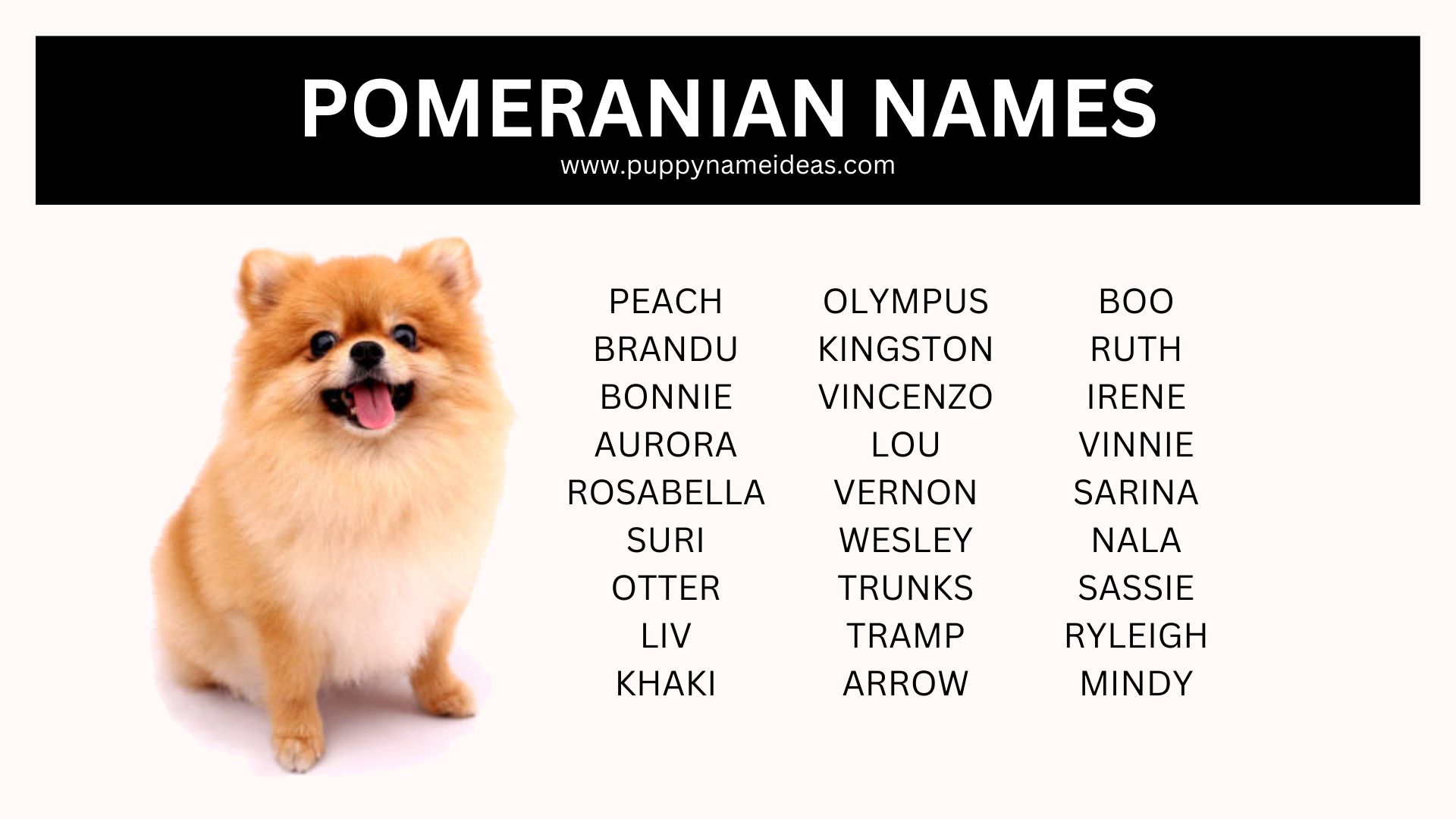 list of pomeranian names