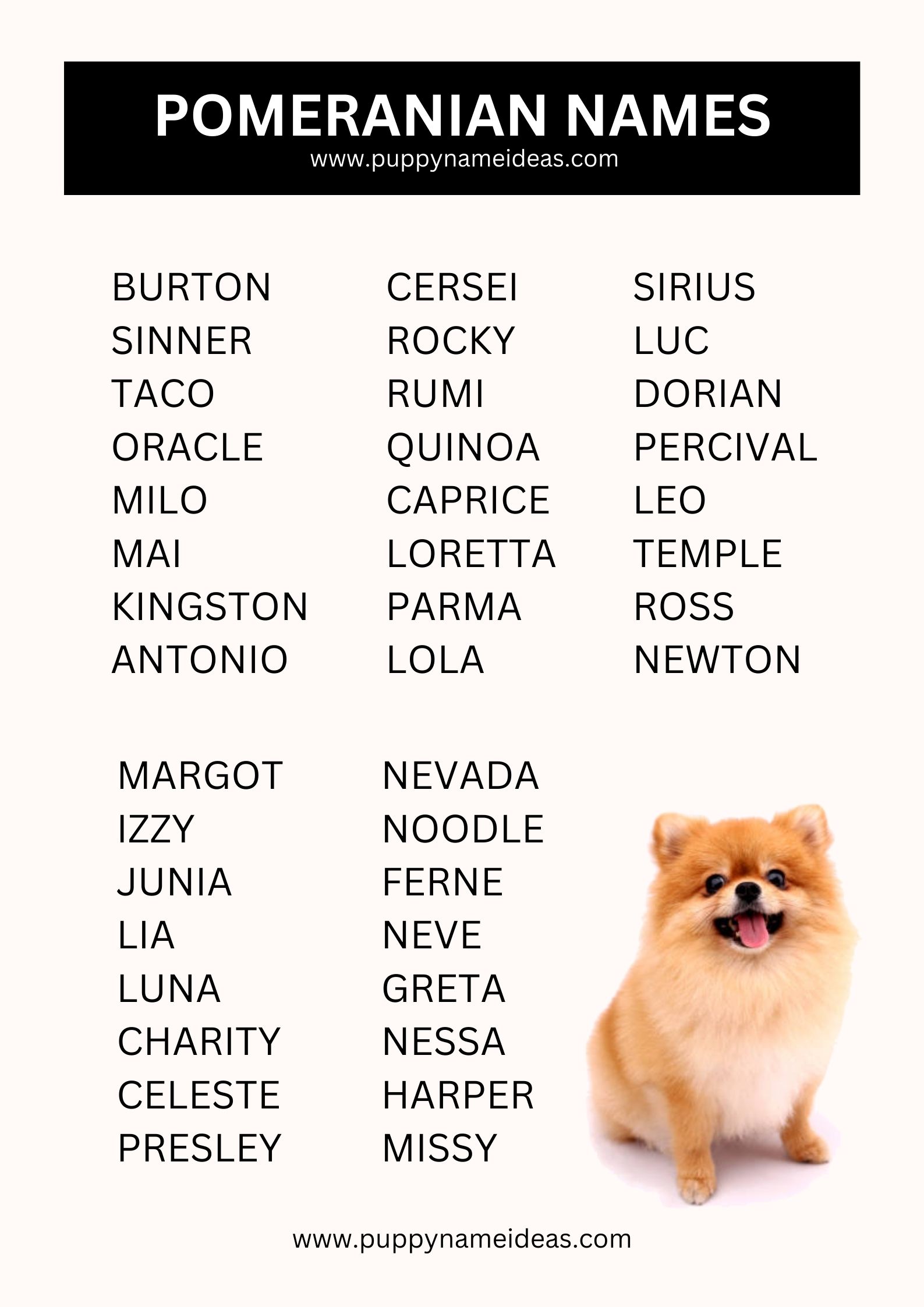 list of pomeranian names