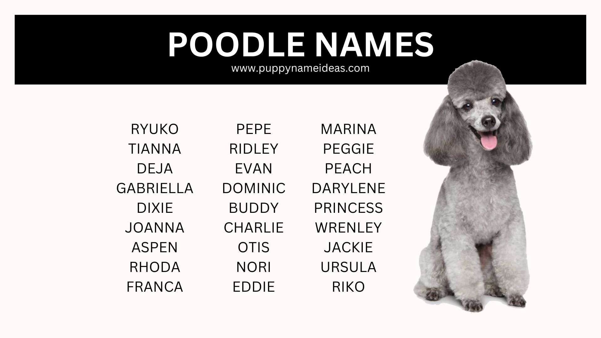 list of poodle names