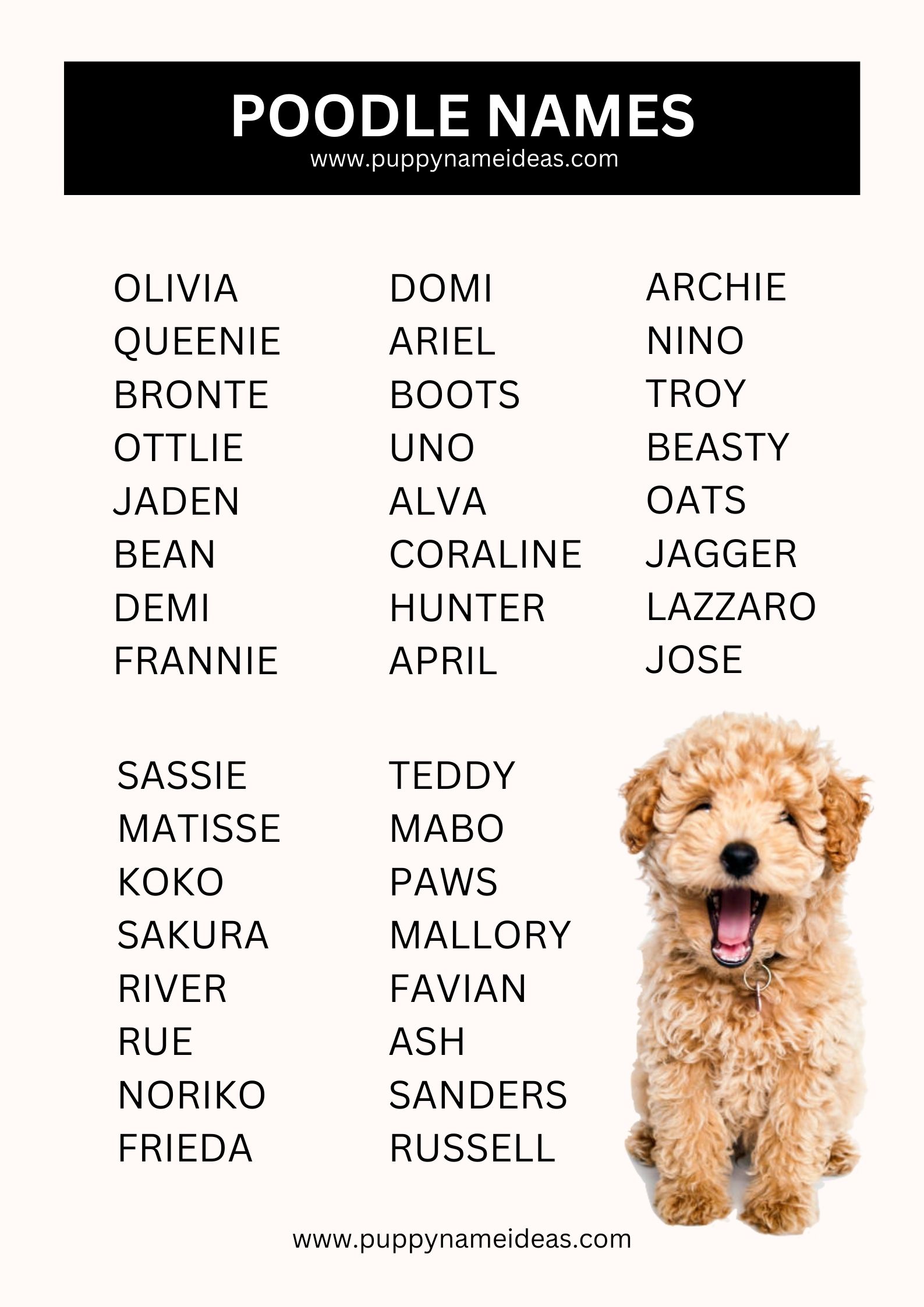 List Of Poodle Names