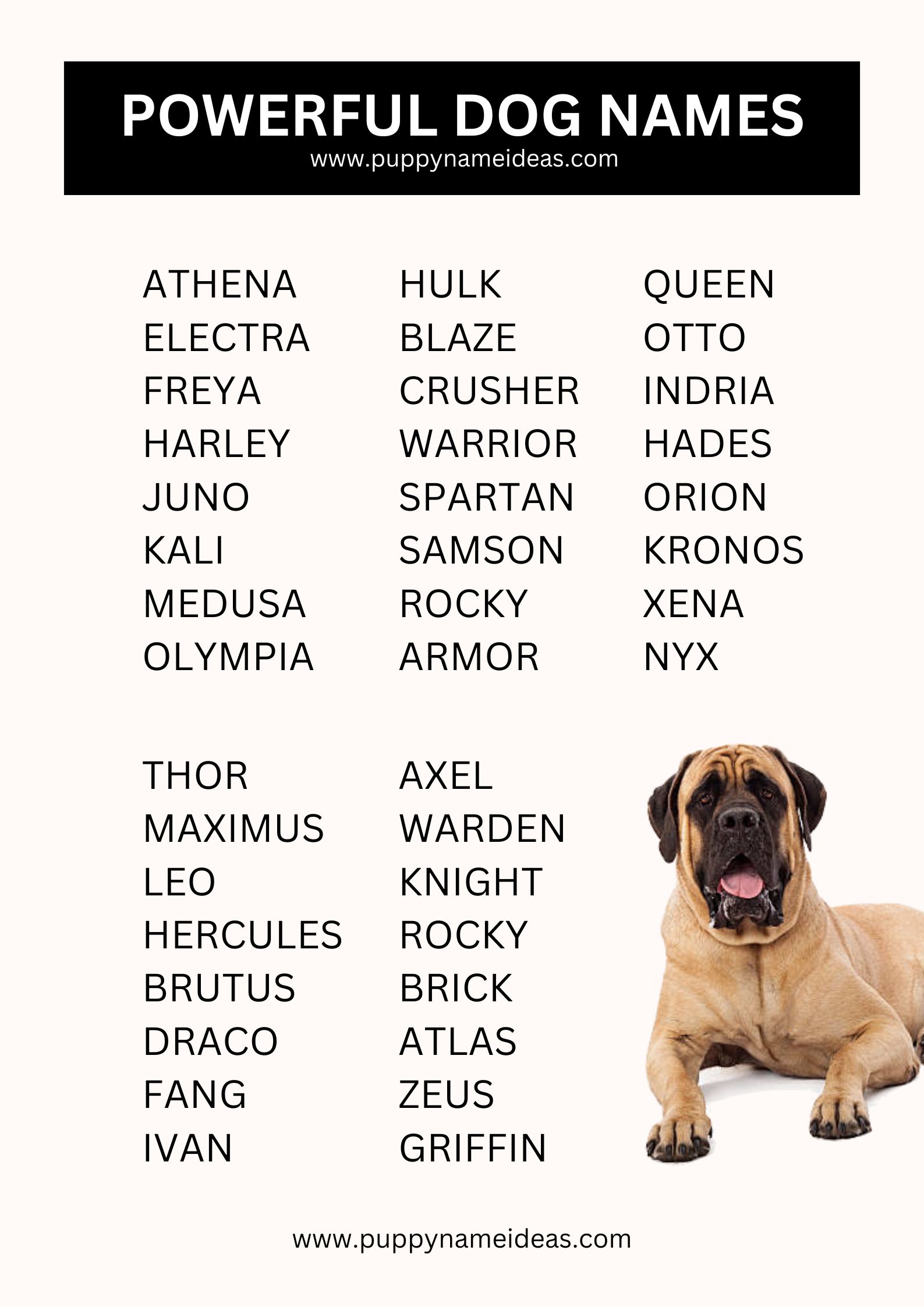 List Of Powerful Dog Names