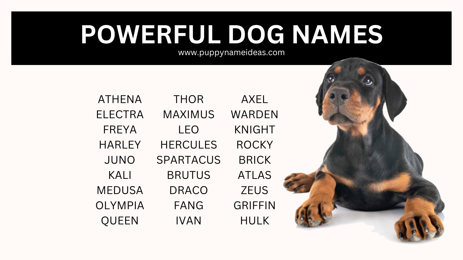 list of powerful dog names