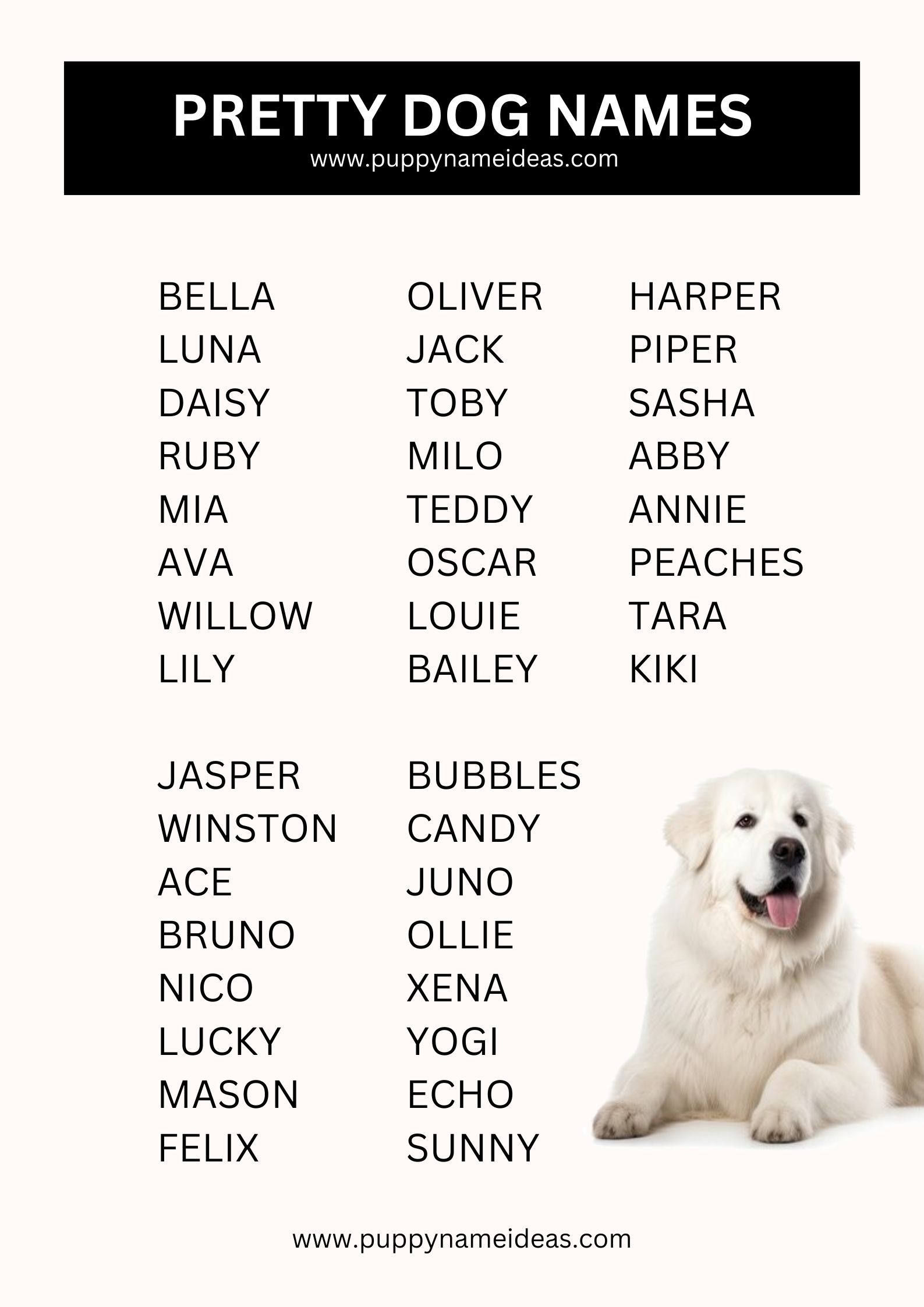 list of pretty dog names