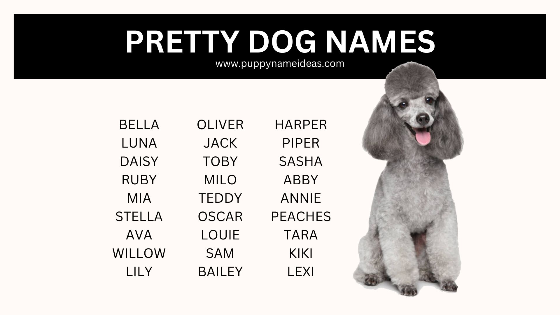 list of pretty dog names
