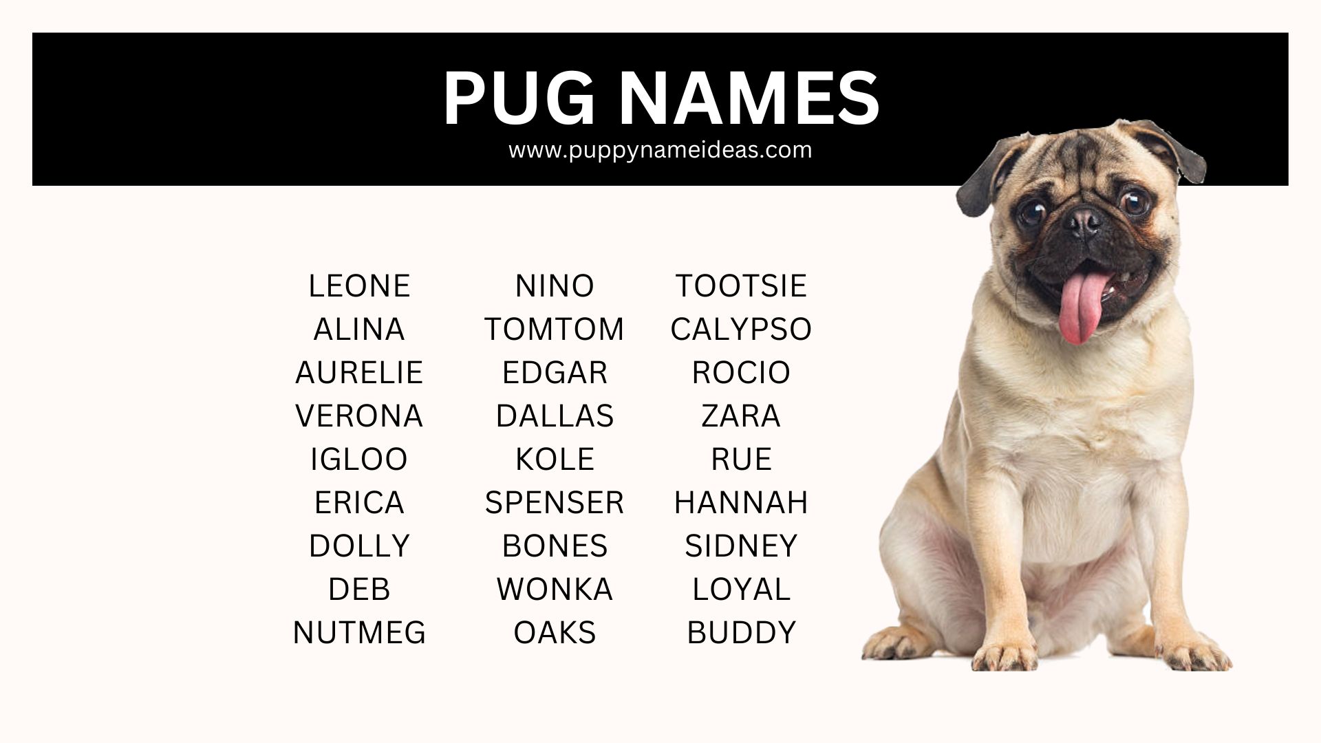 list of pug names