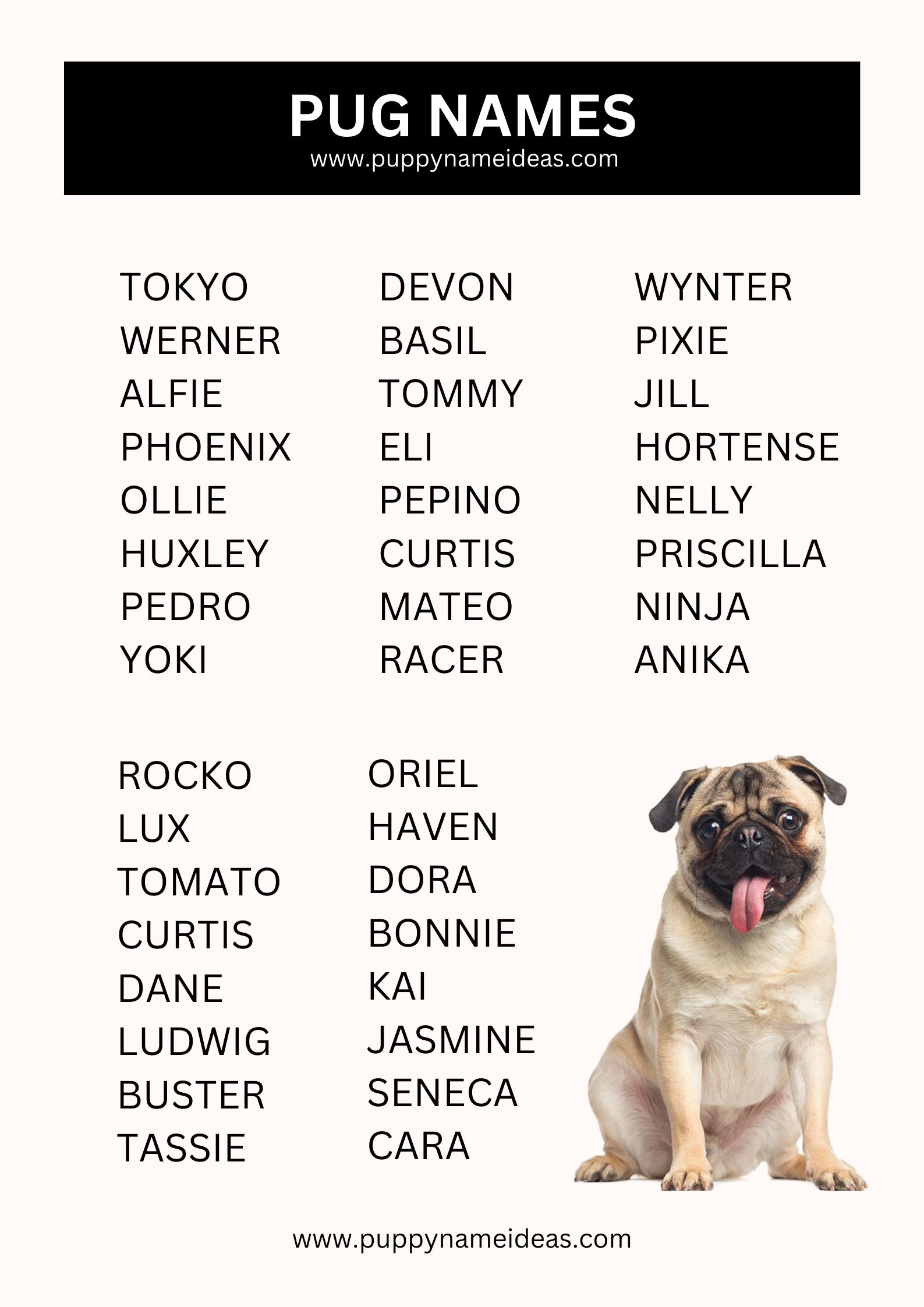 list of pug names