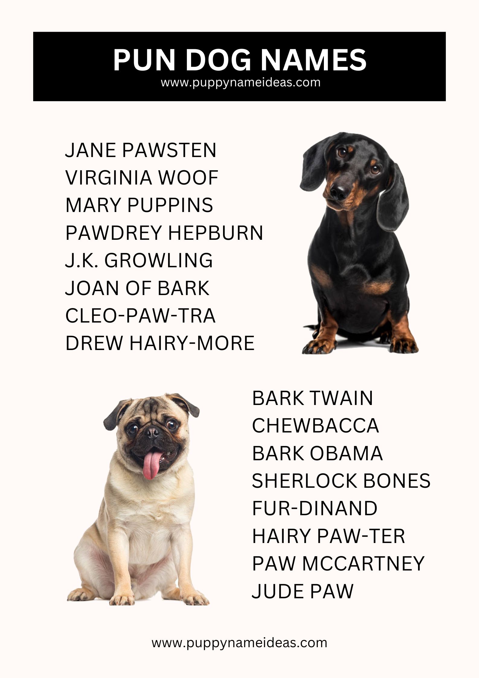 List Of Pun Dog Names