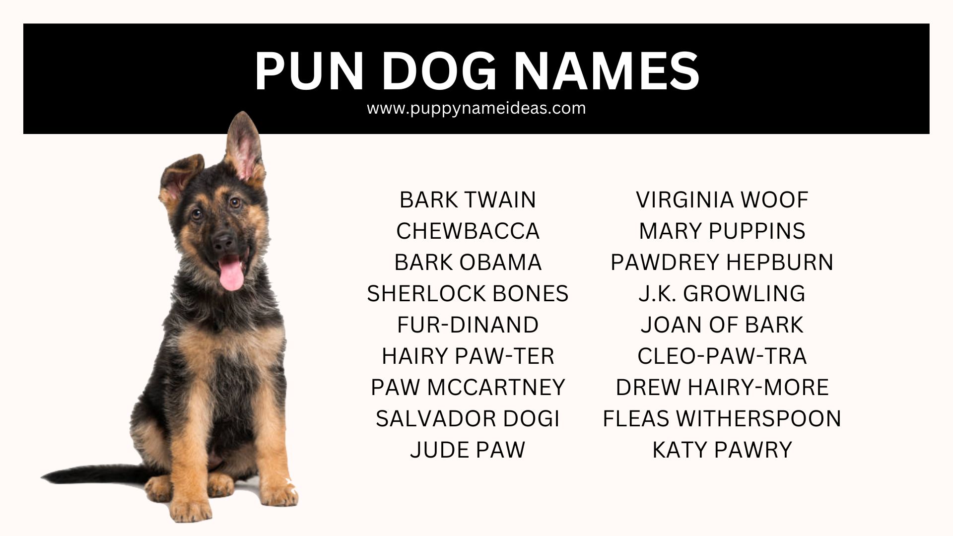 135+ Pun Dog Names