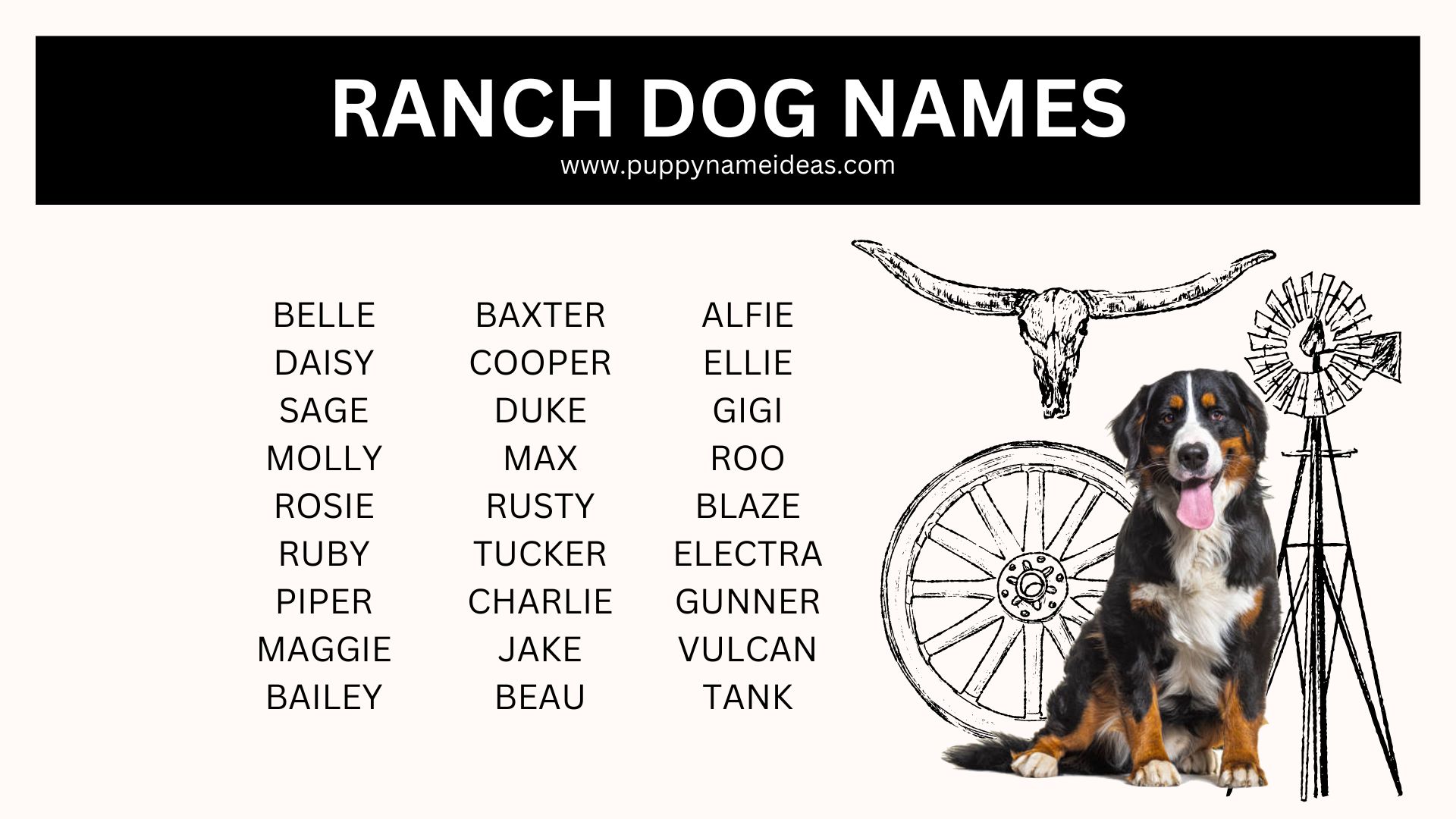 list of ranch dog names