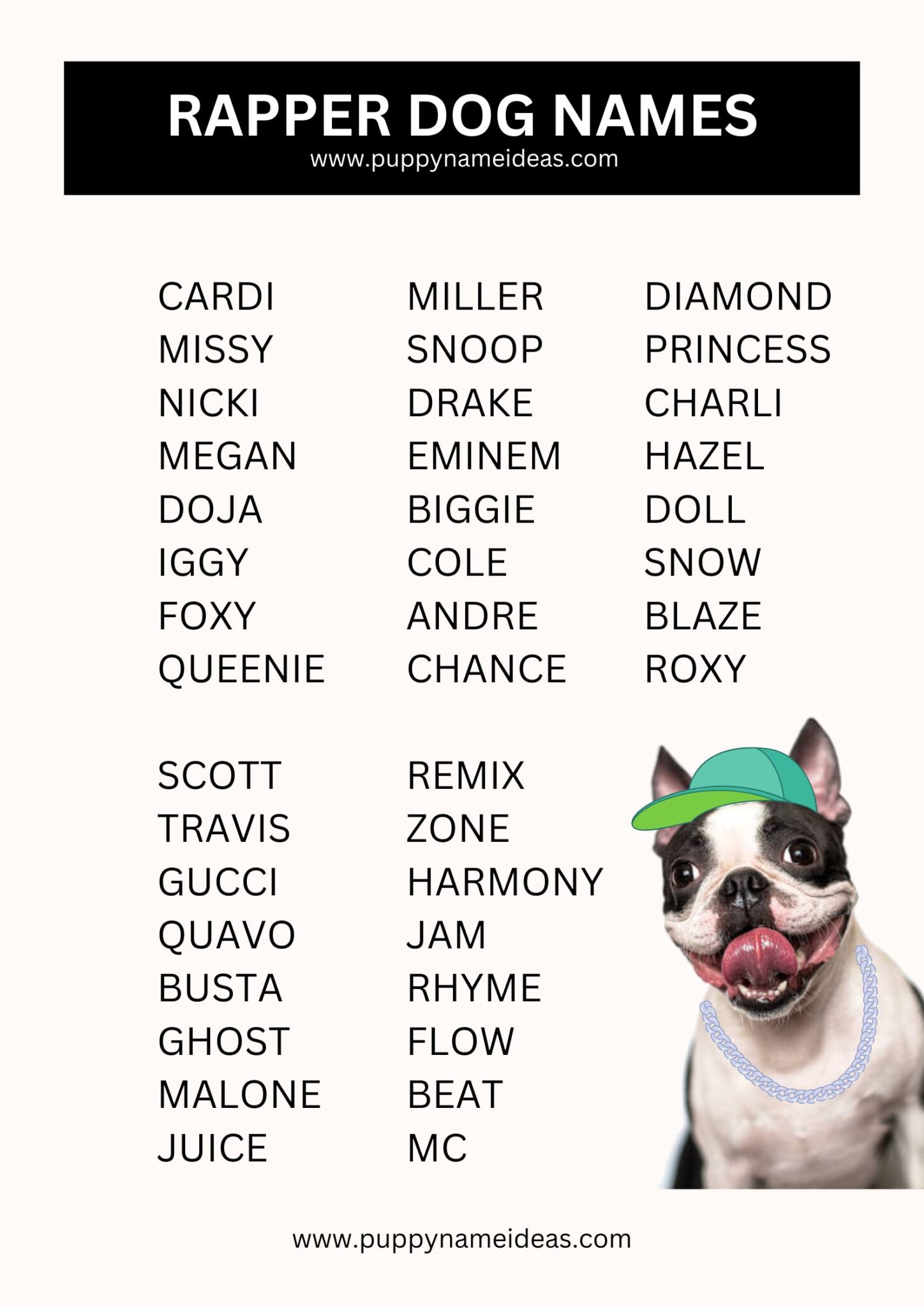 135-rapper-dog-names-puppy-name-ideas