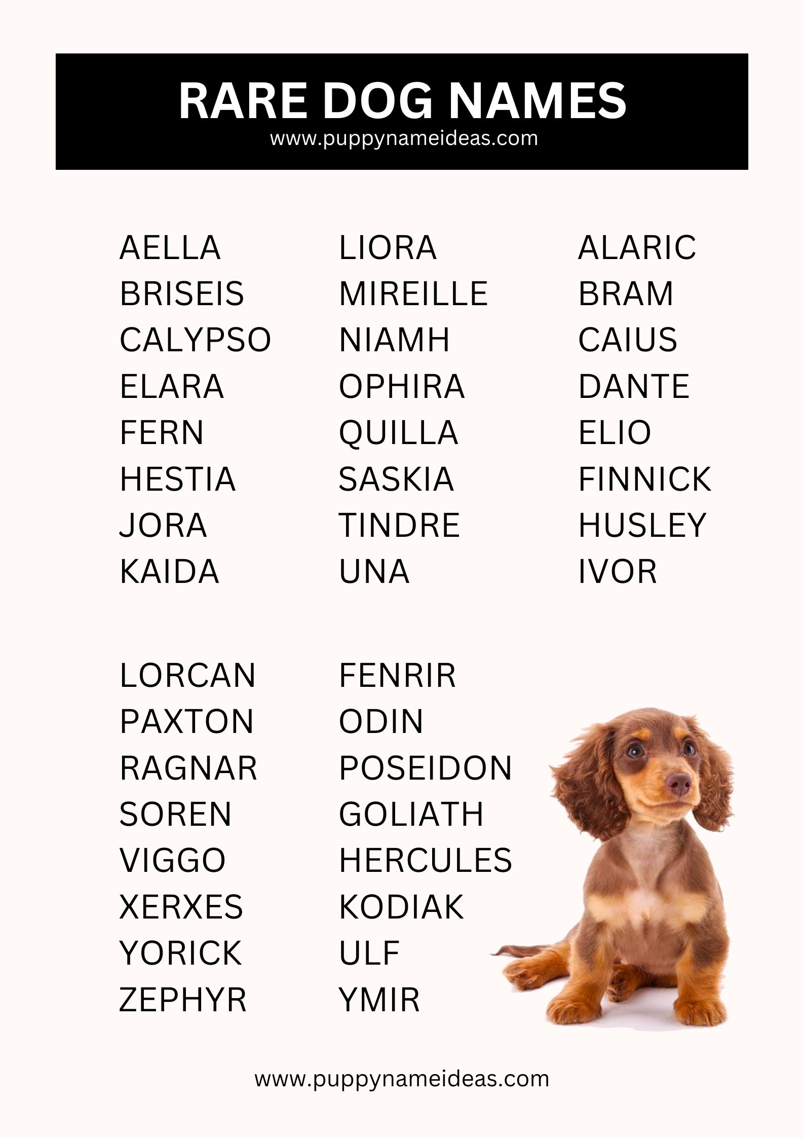 list of rare dog names