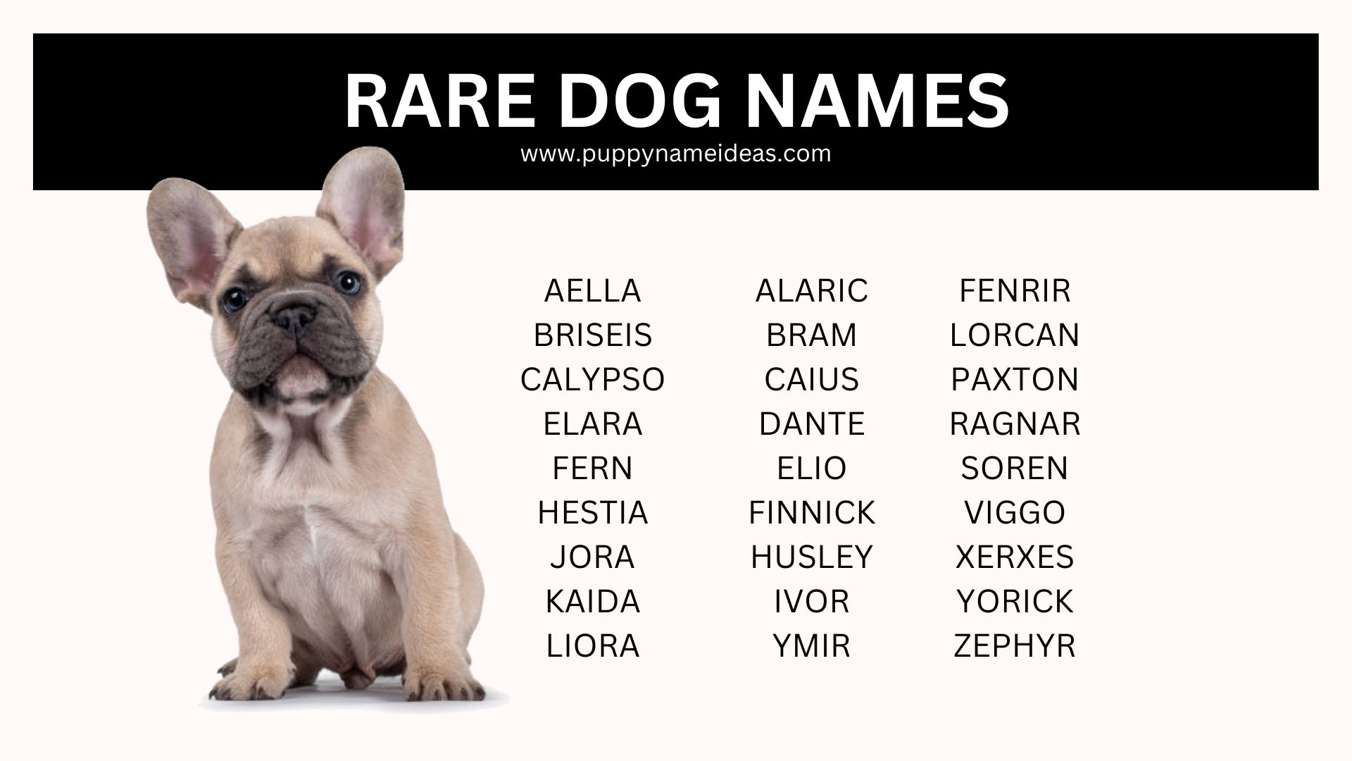 list of rare dog names