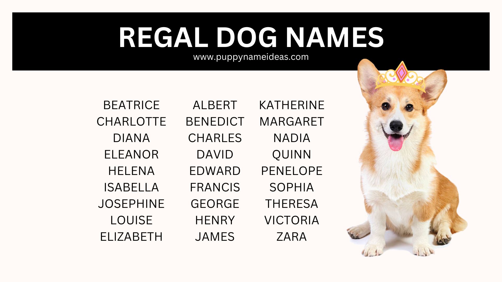 185+ Regal Dog Names