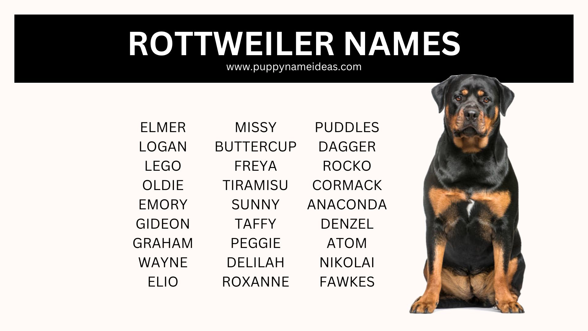 list of rottweiler names