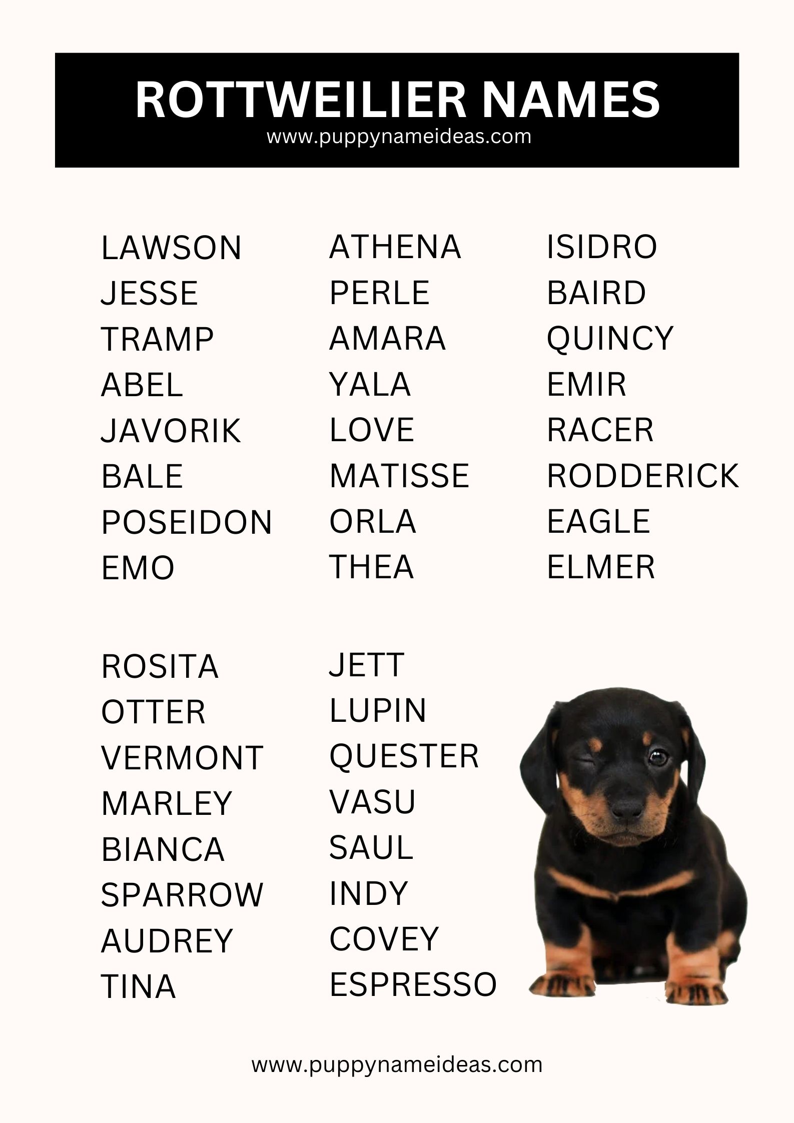 list of rottweiler names