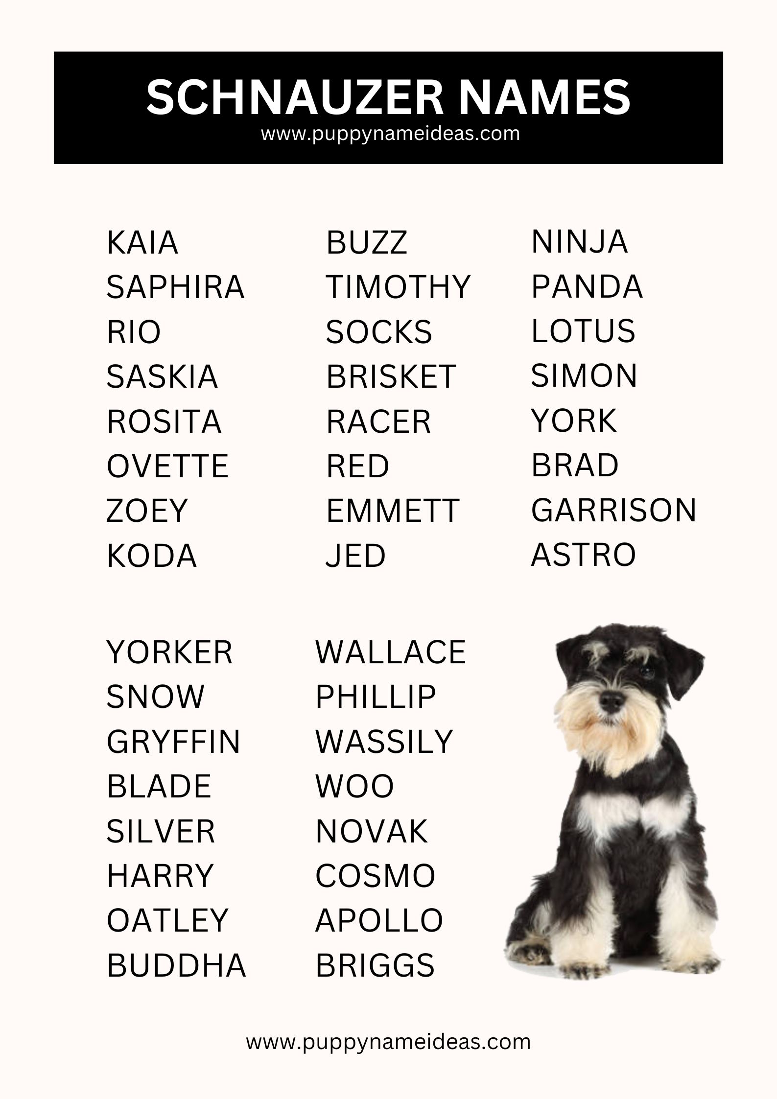 list of schnauzer names