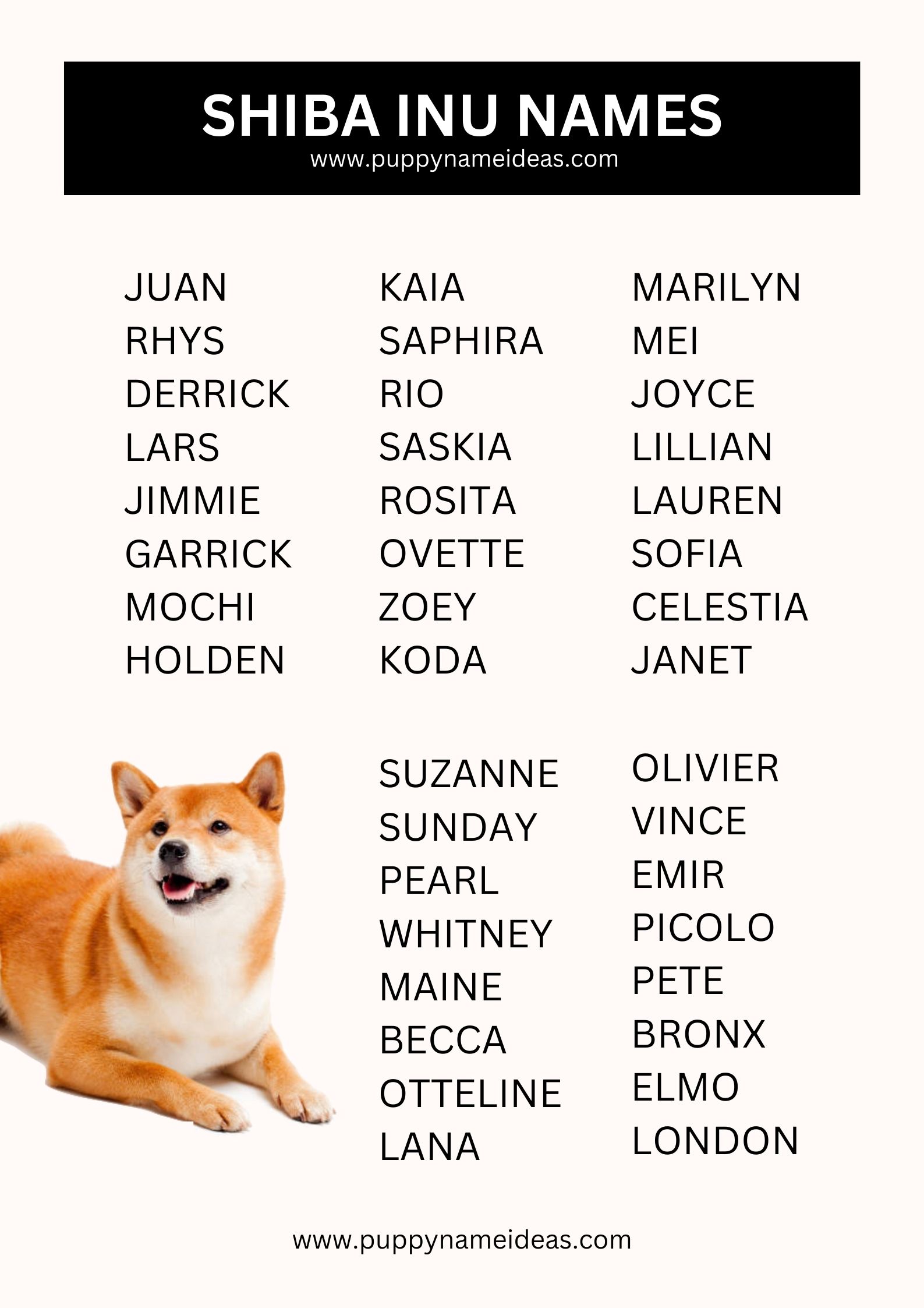 list of shiba inu names