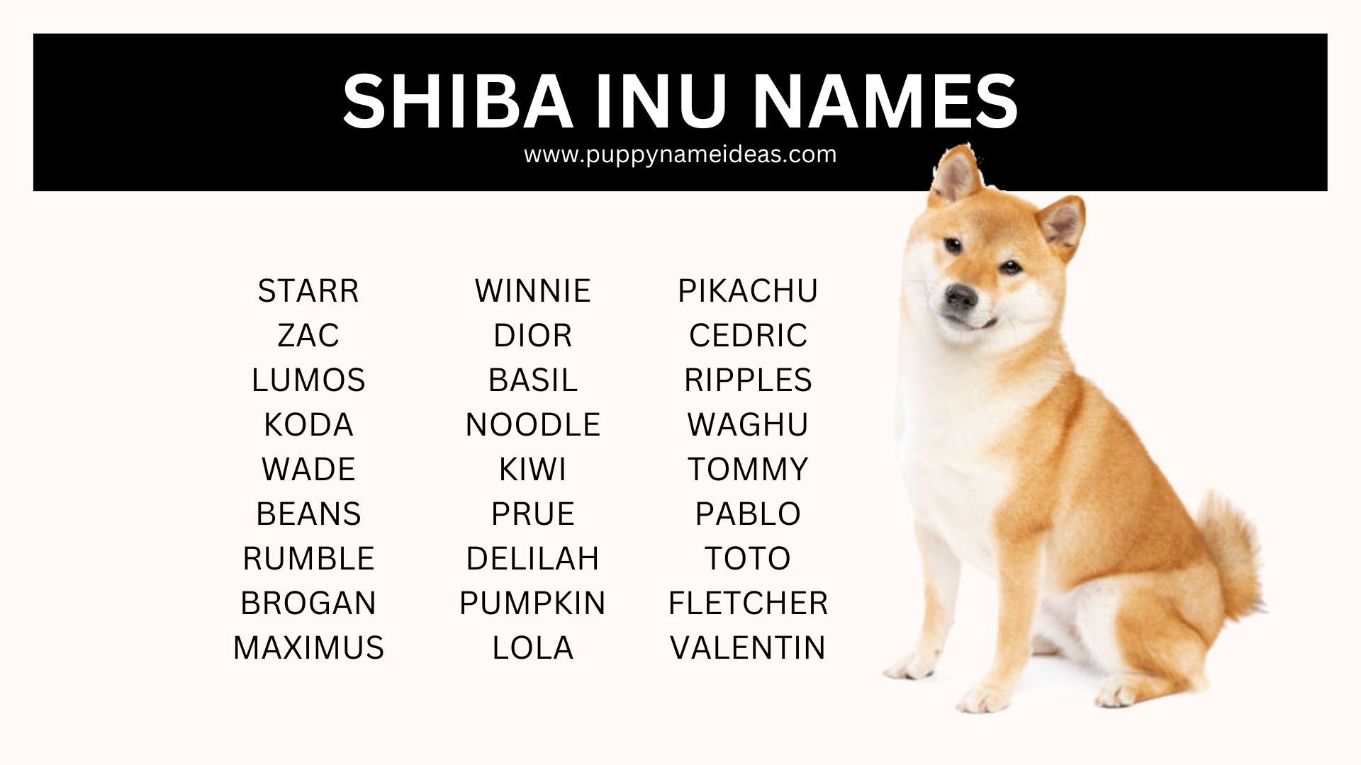 list of shiba inu names