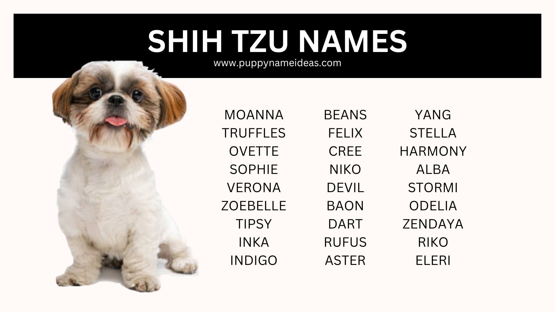 395+ Shih Tzu Names (With Meanings)