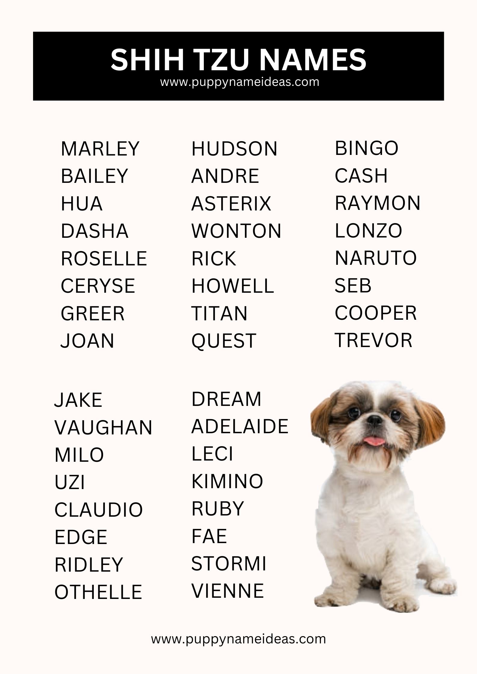 List Of Shih Tzu Names