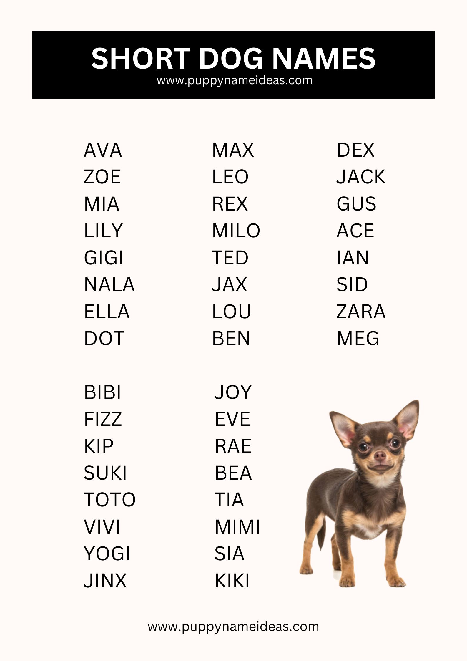 list of short dog names