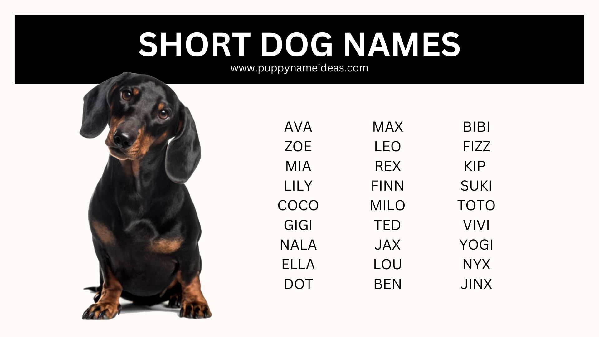 list of short dog names