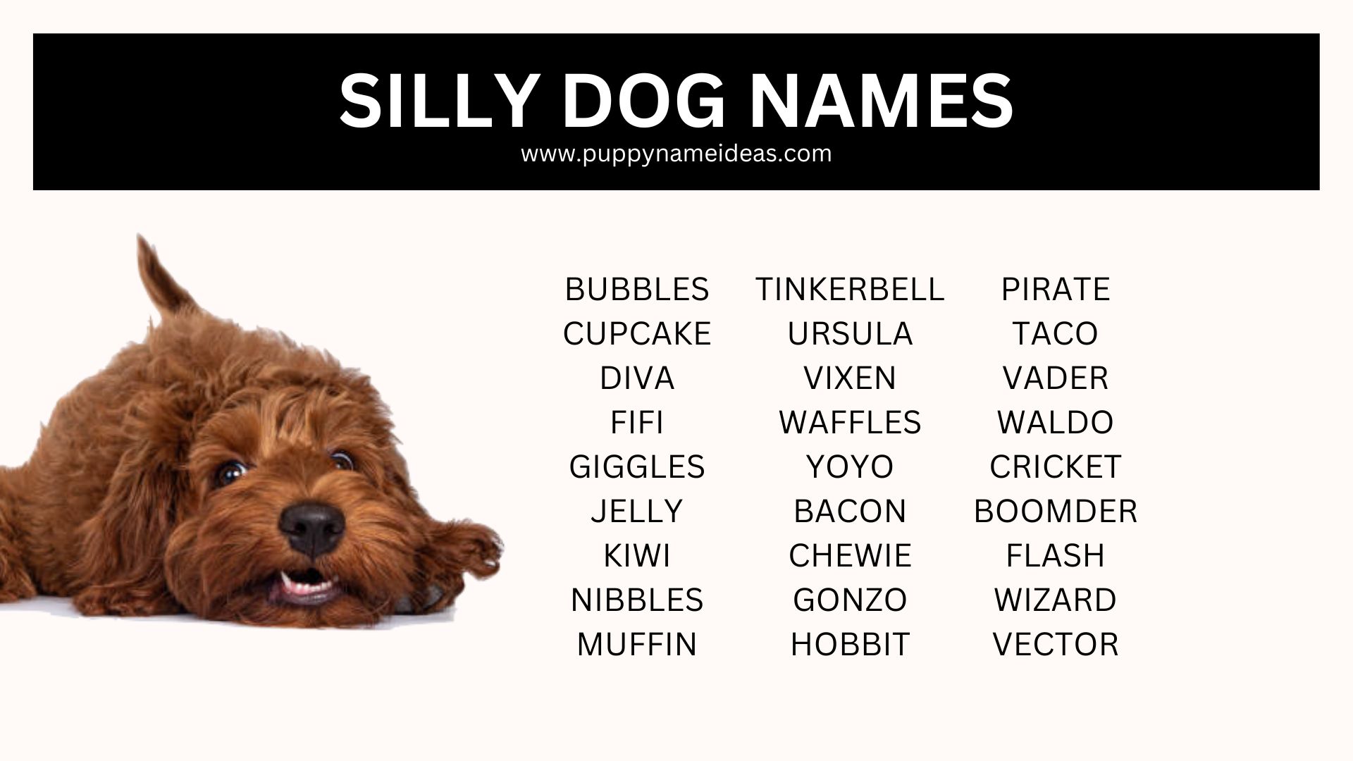 list of silly dog names