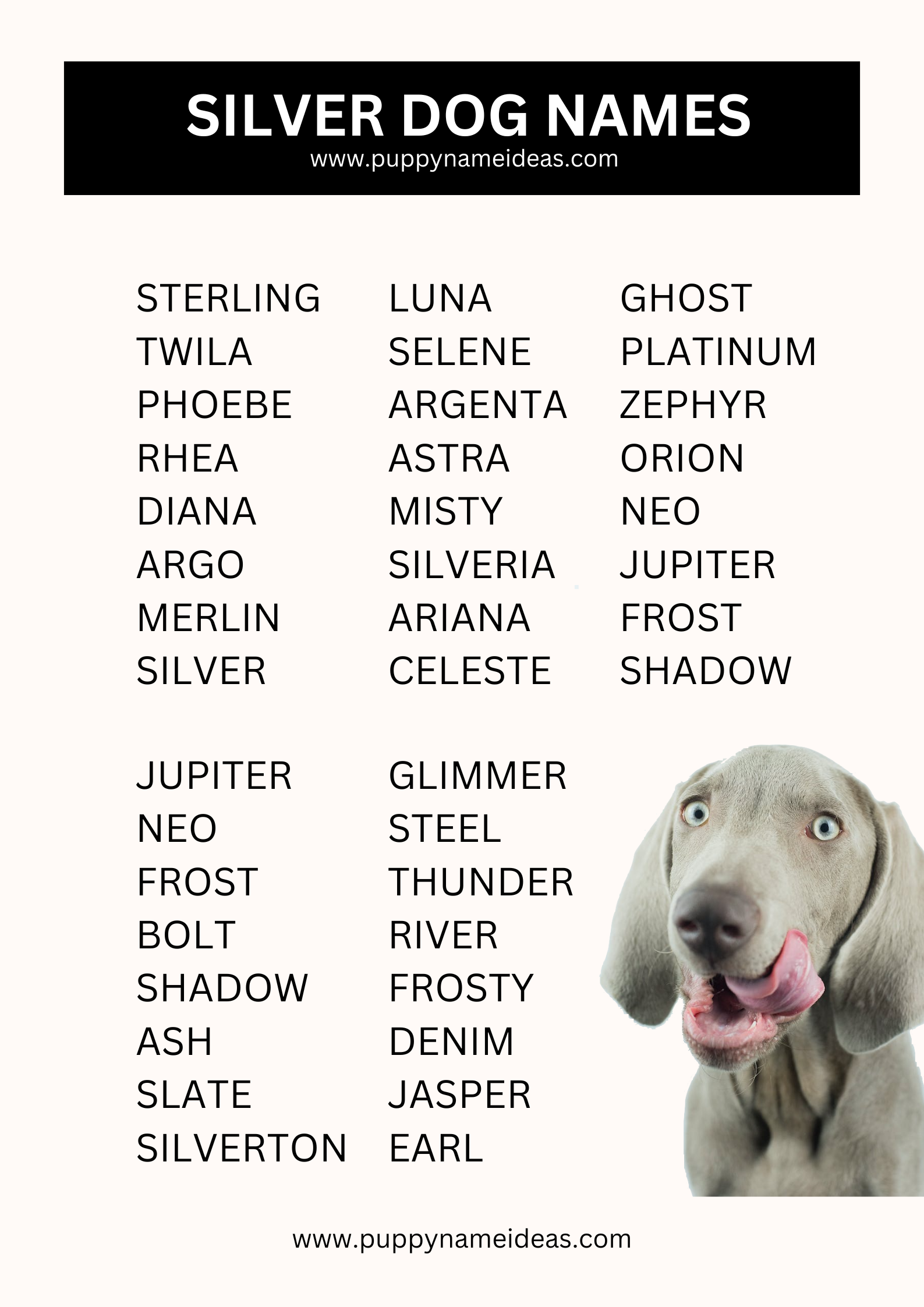 List Of Silver Dog Names