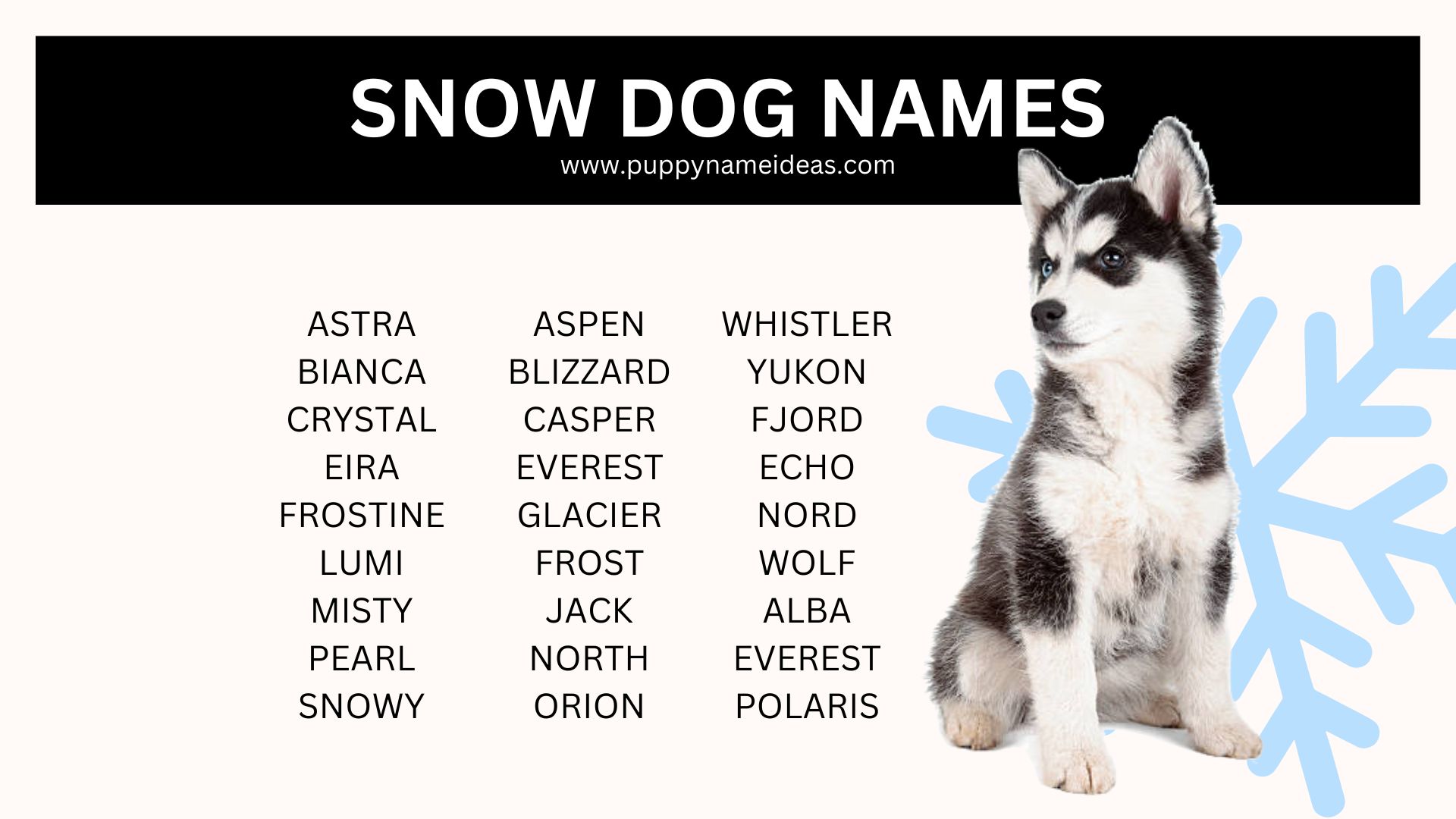 list of snow dog names