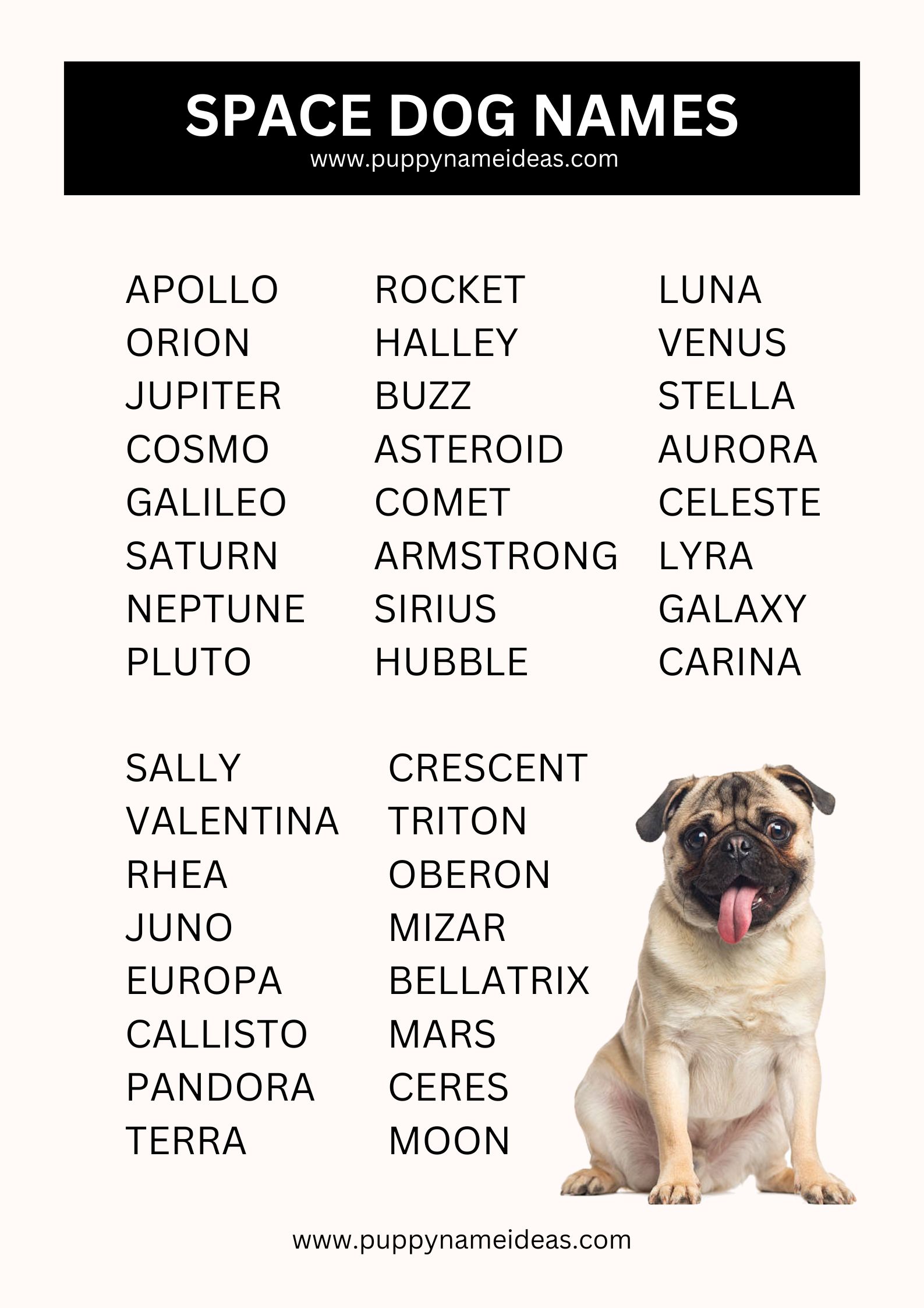 List Of Space Dog Names