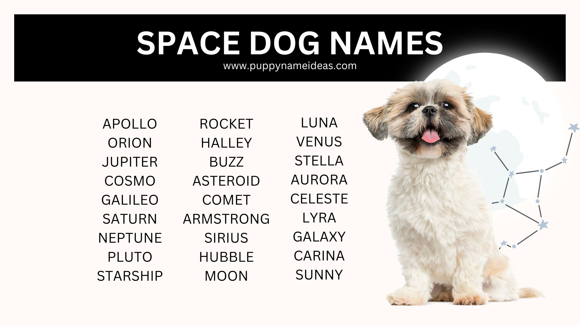 list of space dog names