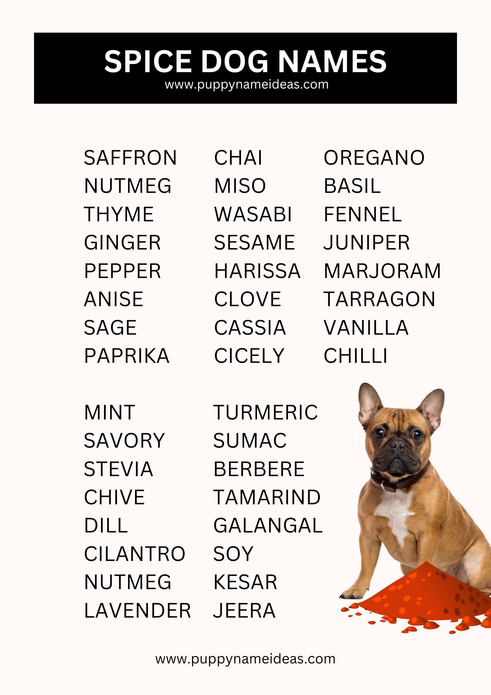 list of spice dog names
