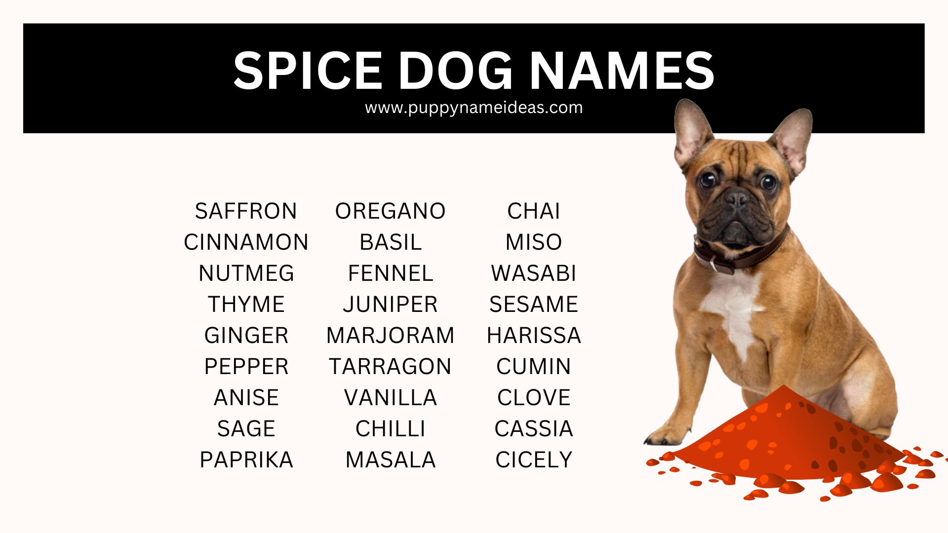 list of spice dog names