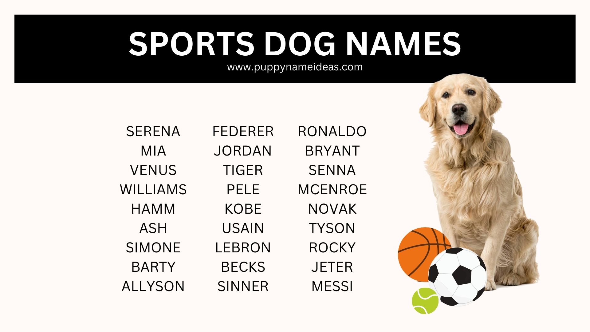 list of sports dog names