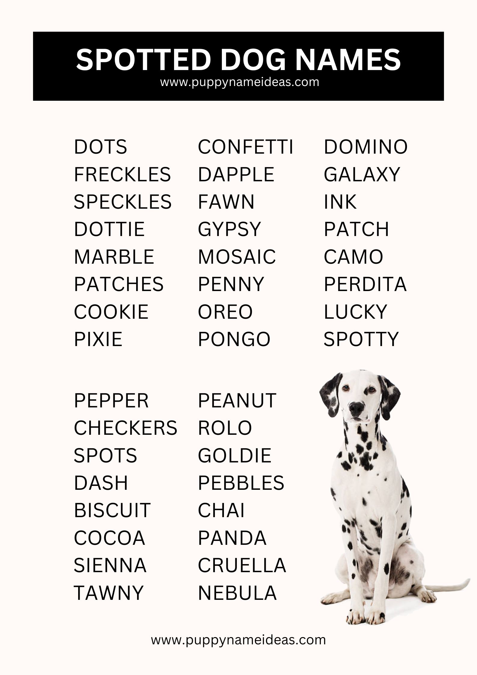 List Of Spotted Dog Names