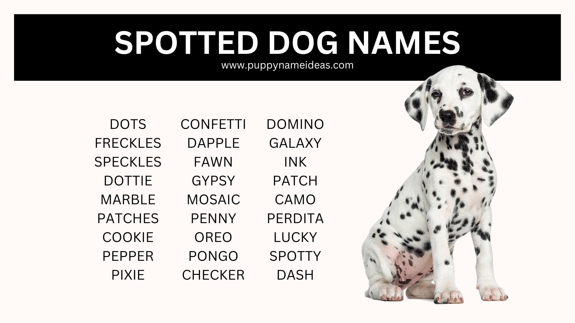 list of spotted dog names