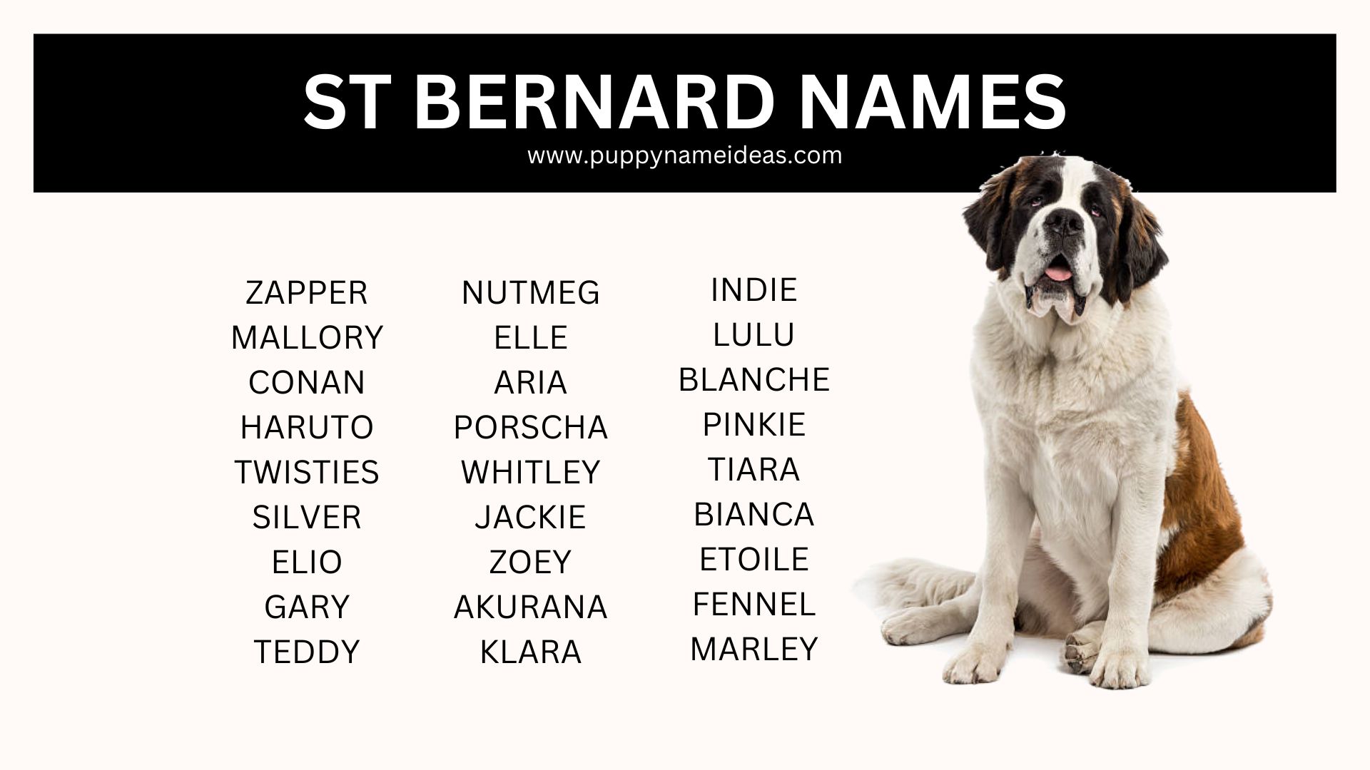 list of st bernard names