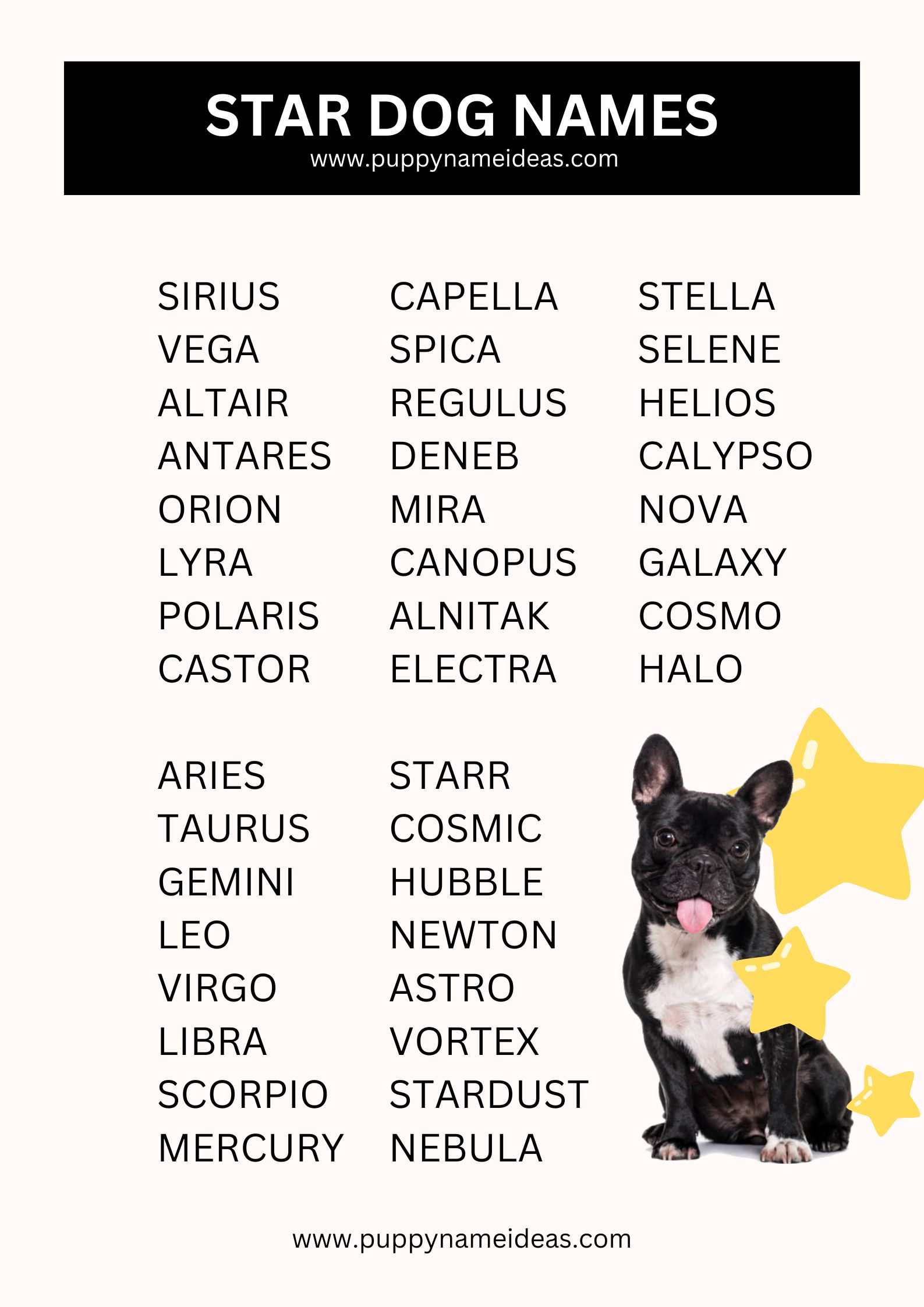 list of star dog names