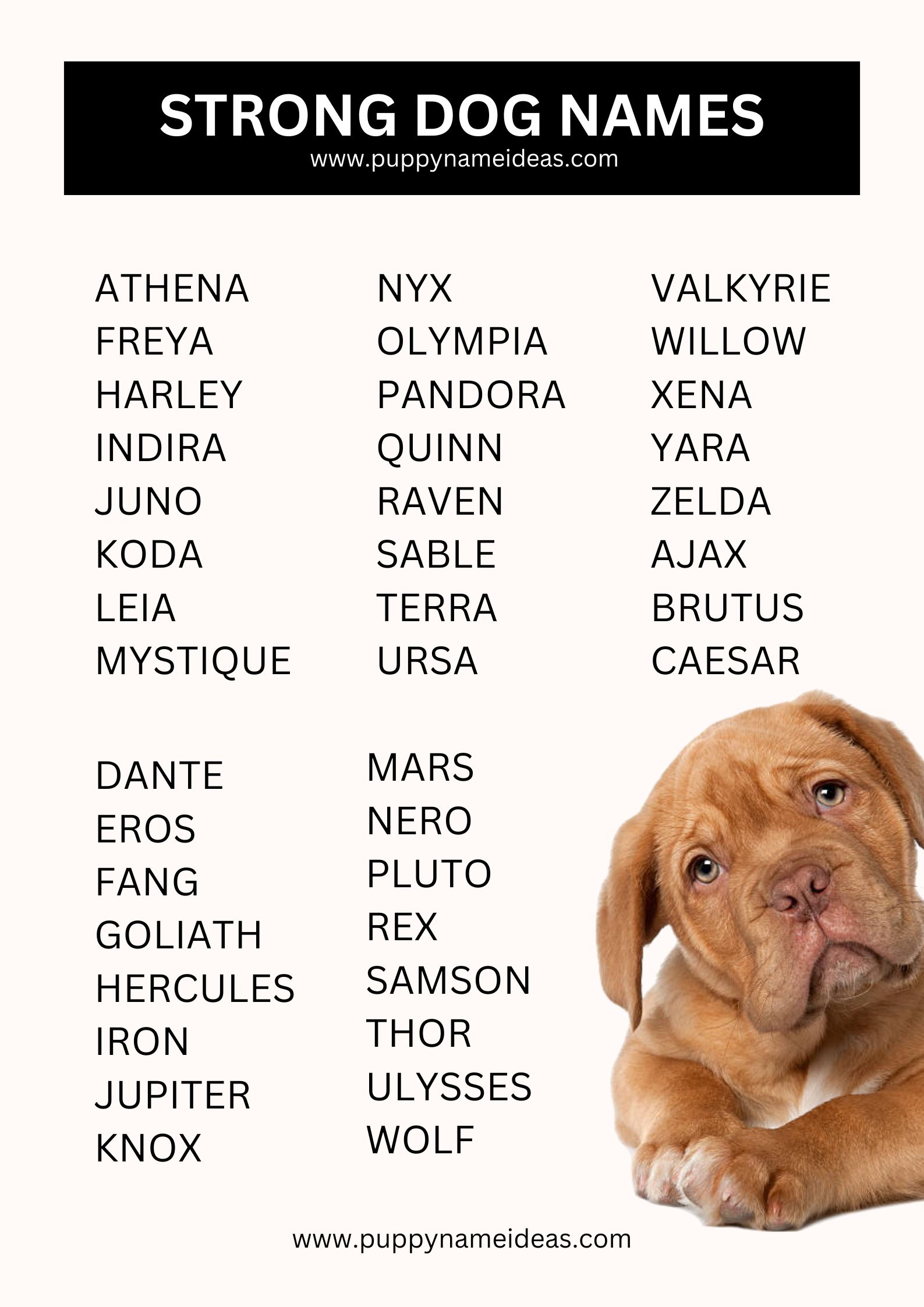 list of strong dog names