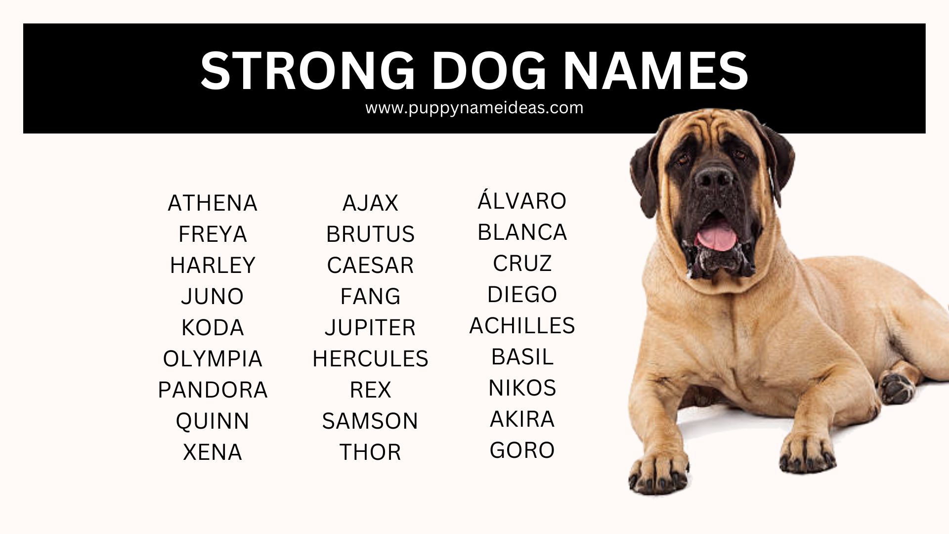 165+ Strong Dog Names