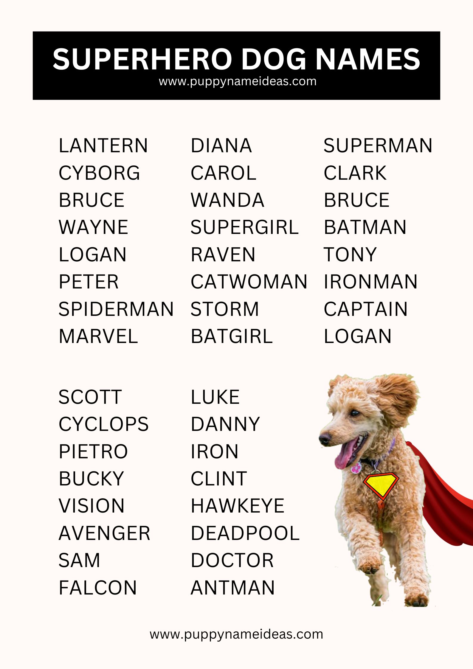 List Of Superhero Dog Names