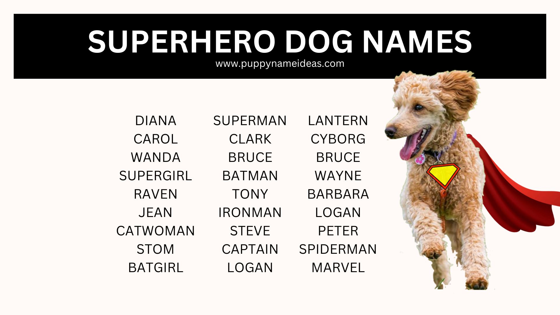 120+ Superhero Dog Names