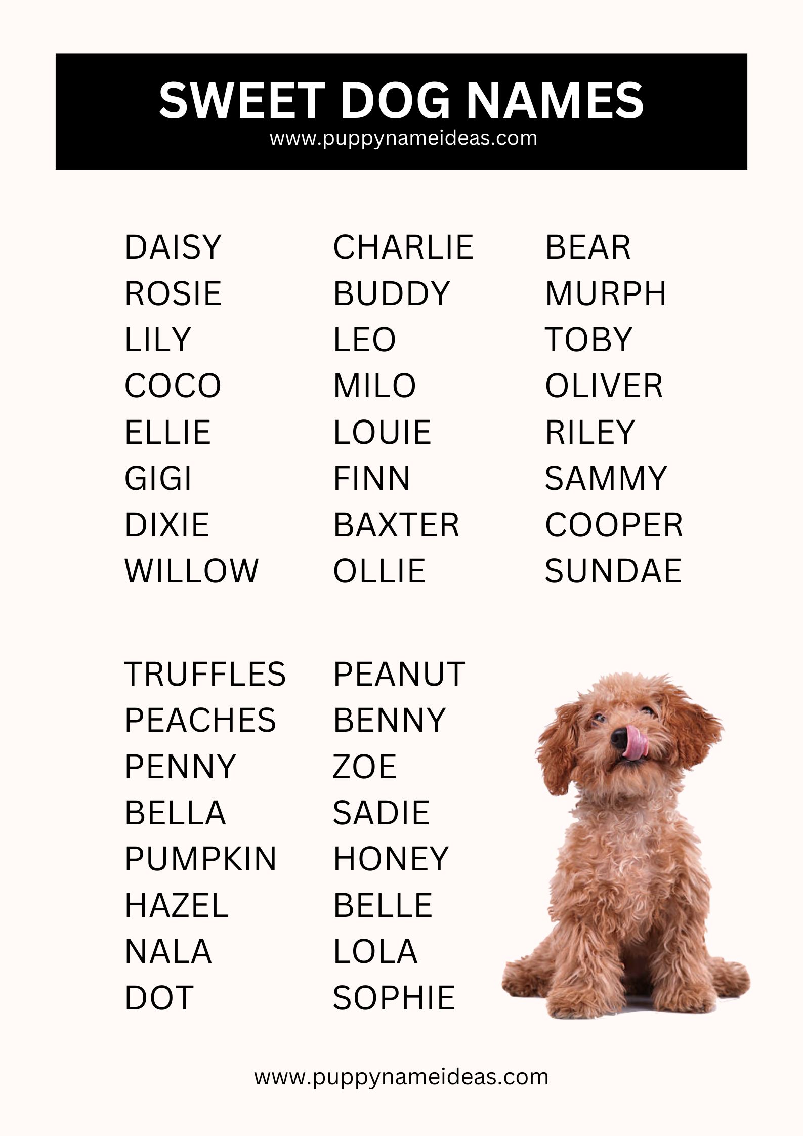 List of sweet dog names