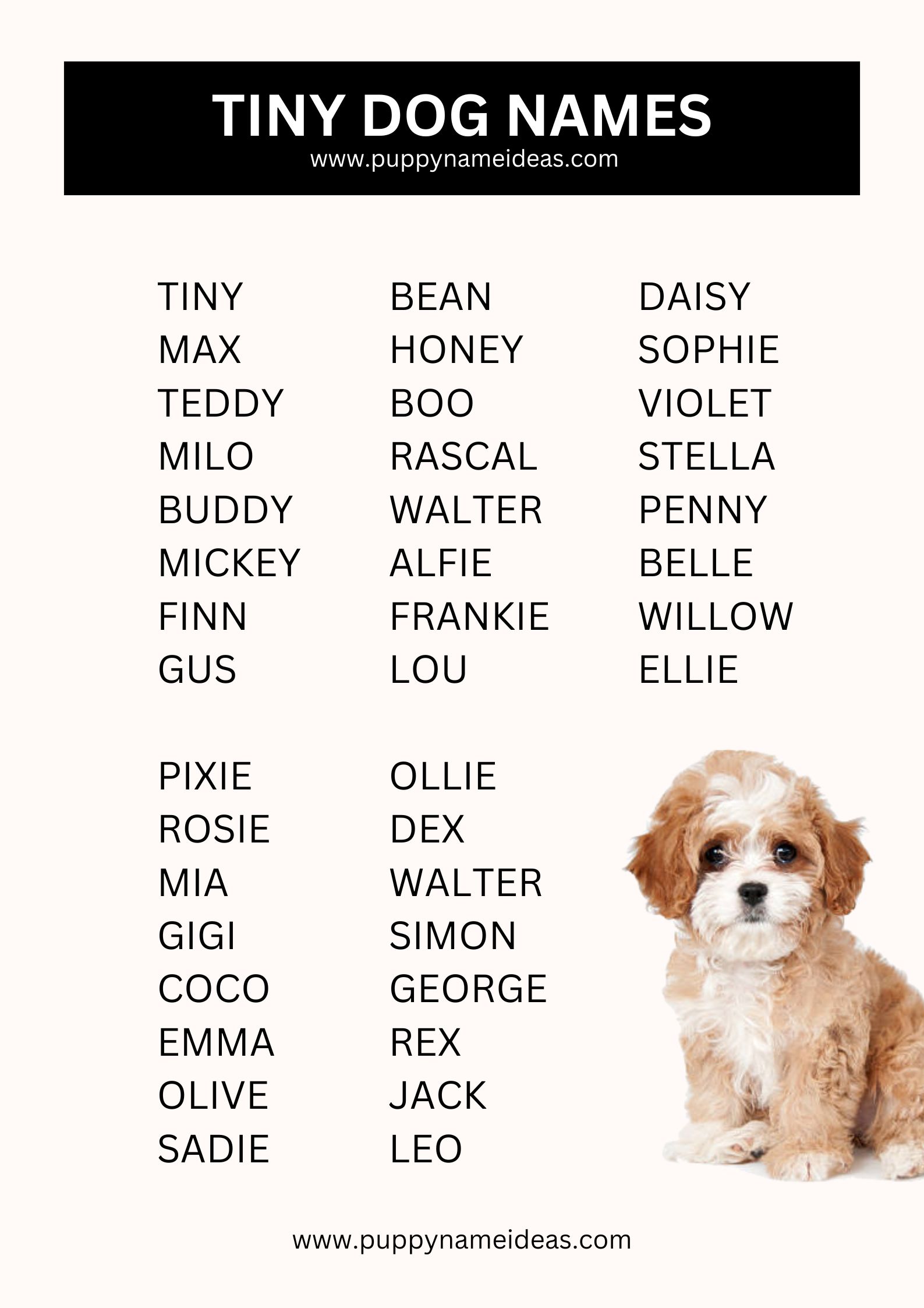 List Of Tiny Dog Names